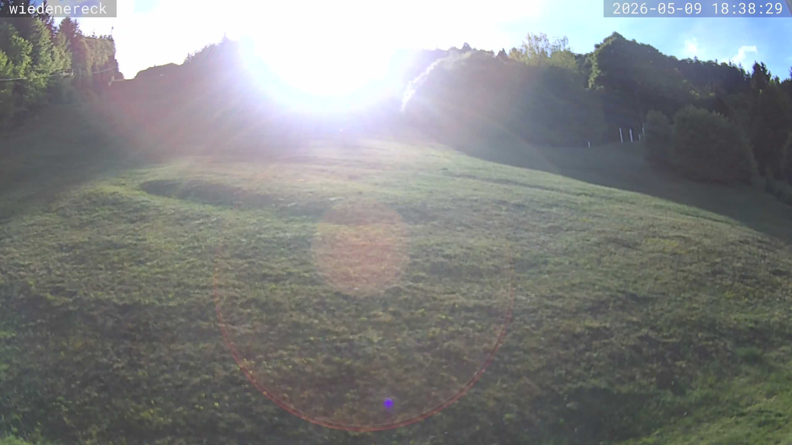 Archiv Foto Webcam Münstertal-Wieden: Rollspitz