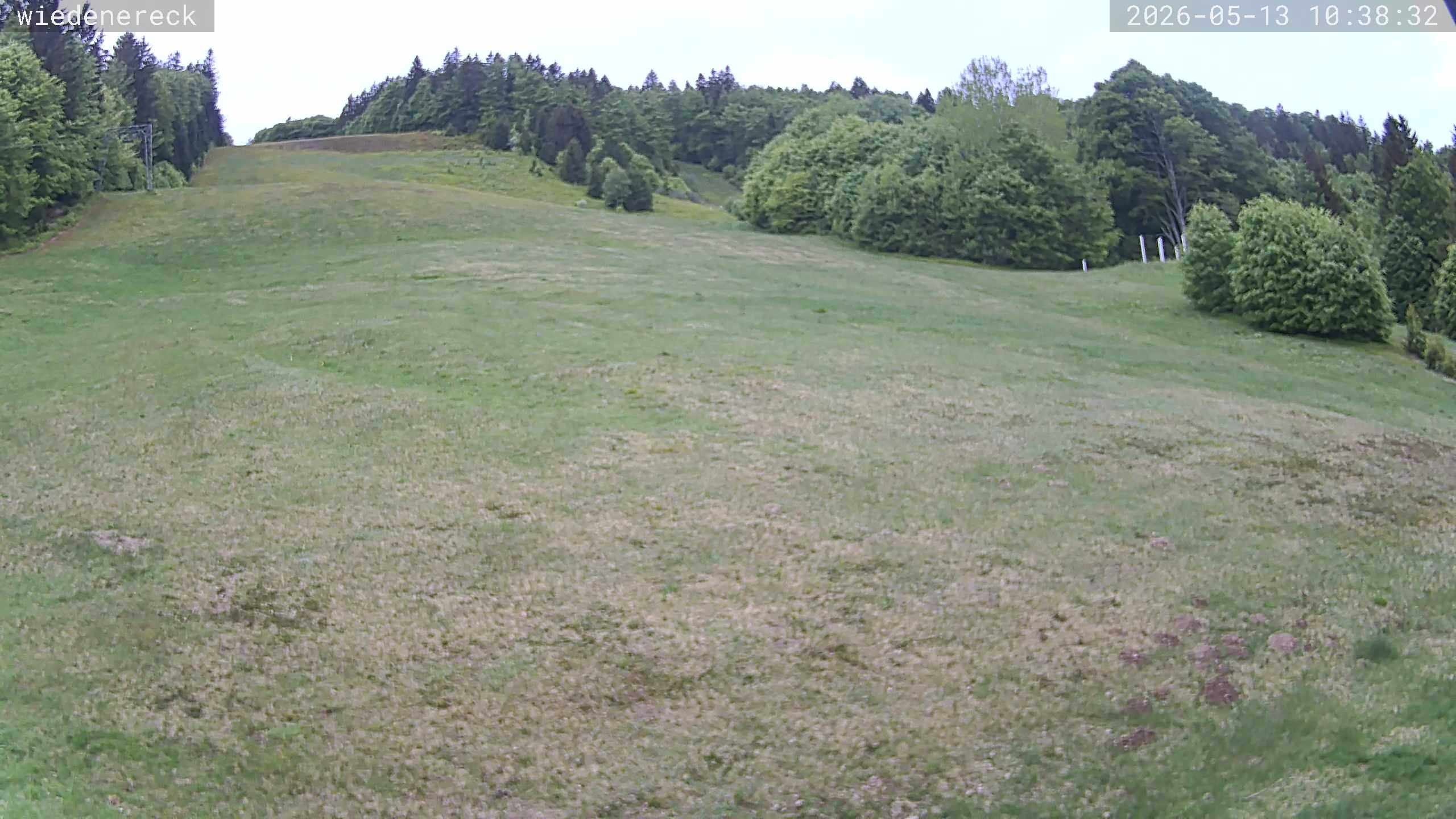 Archiv Foto Webcam Münstertal-Wieden: Rollspitz