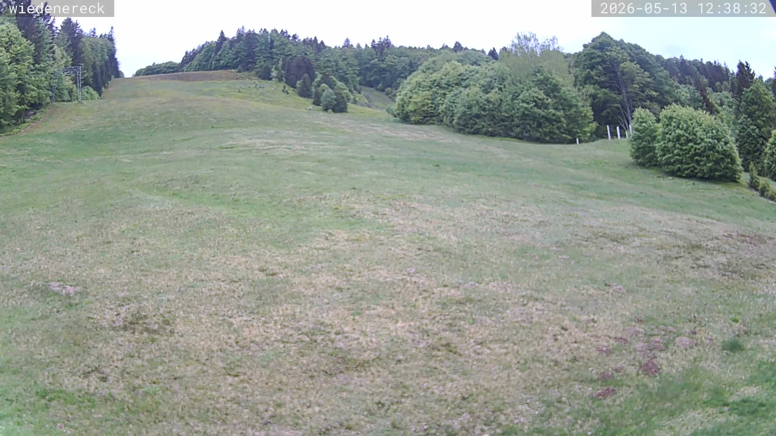 Archiv Foto Webcam Münstertal-Wieden: Rollspitz