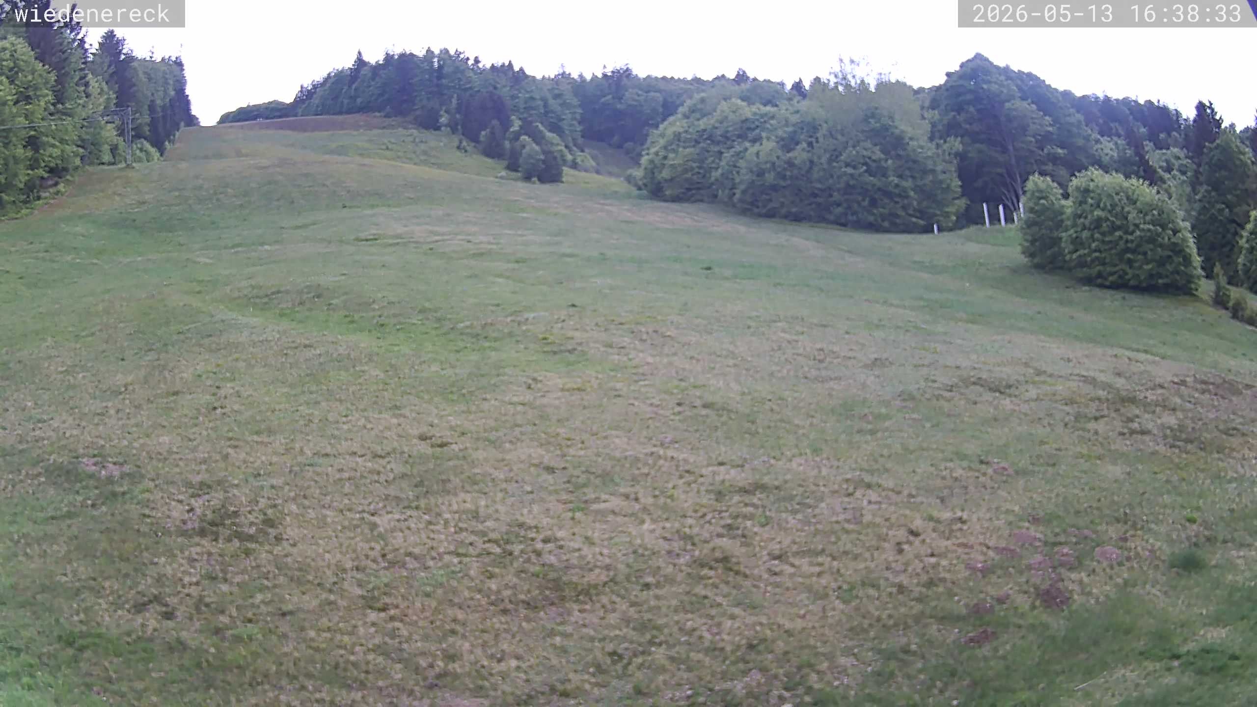 Archiv Foto Webcam Münstertal-Wieden: Rollspitz