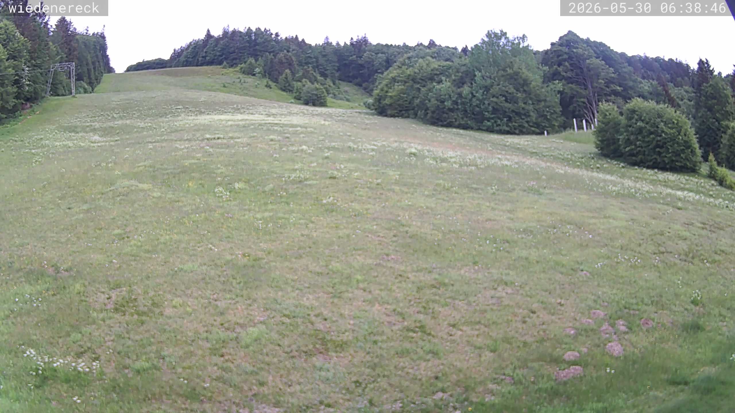 Archiv Foto Webcam Münstertal-Wieden: Rollspitz
