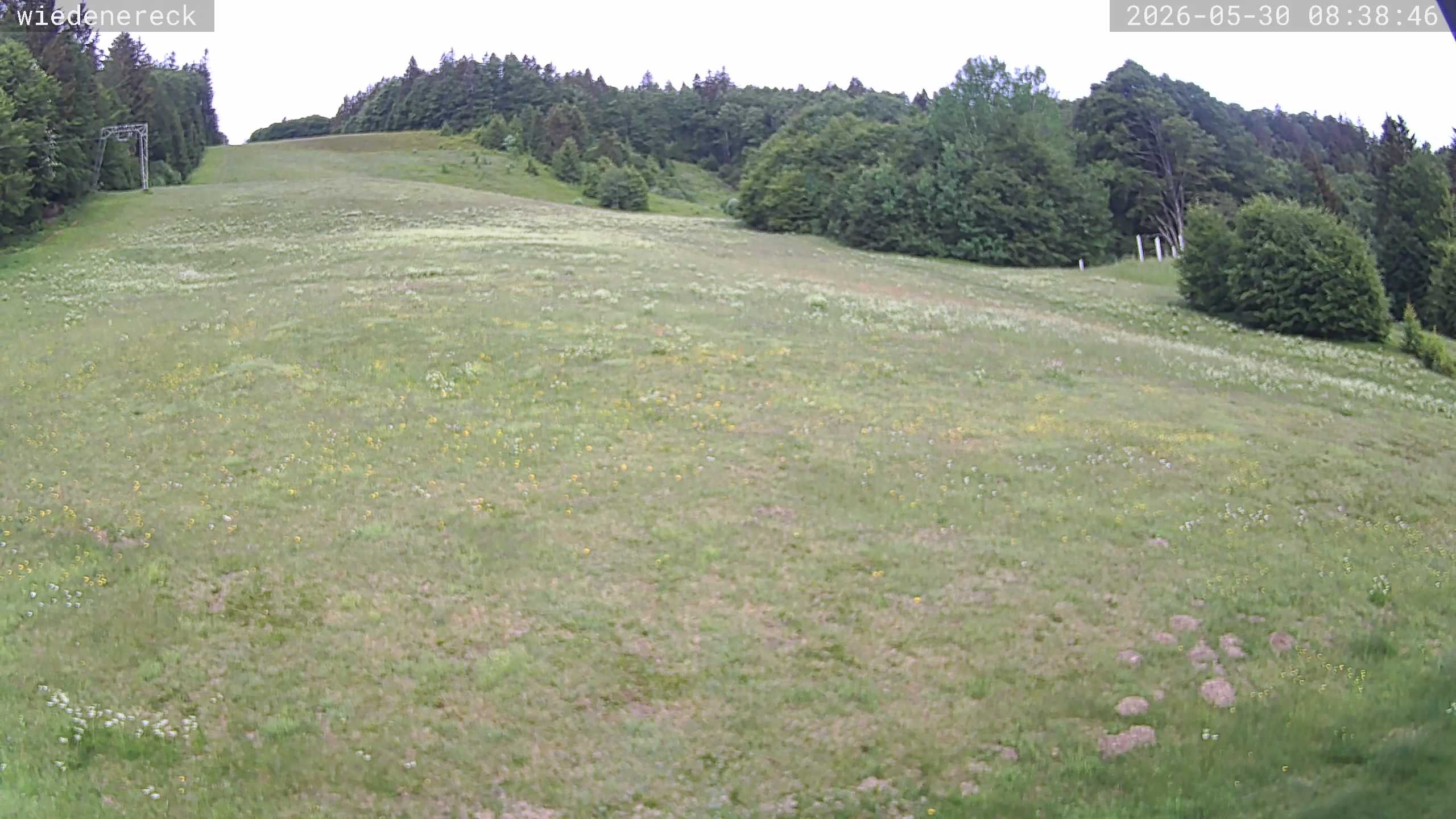 Archiv Foto Webcam Münstertal-Wieden: Rollspitz