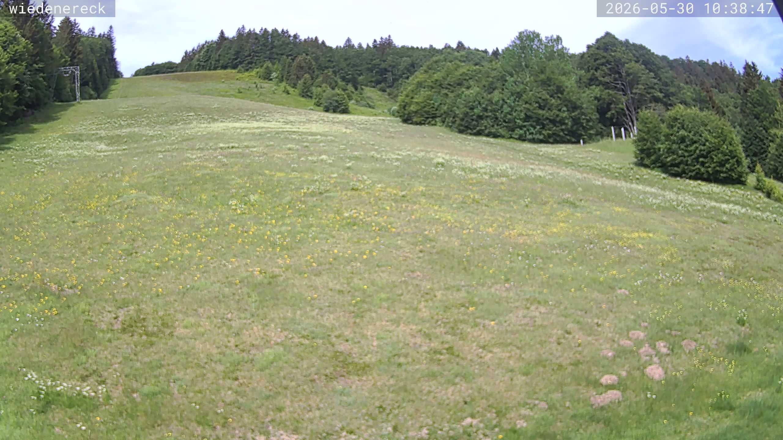 Archiv Foto Webcam Münstertal-Wieden: Rollspitz