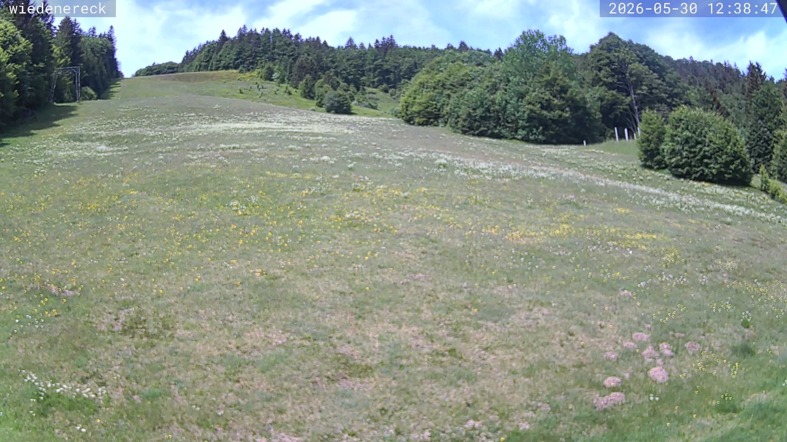 Archived image Webcam Rollspitz Münstertal-Wieden