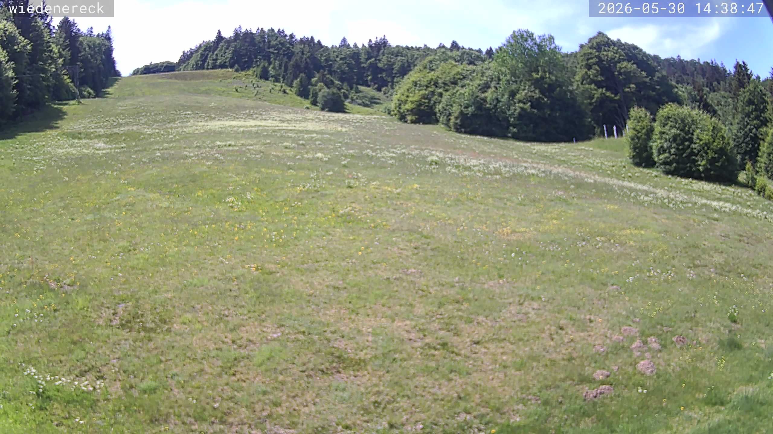 Archived image Webcam Rollspitz Münstertal-Wieden