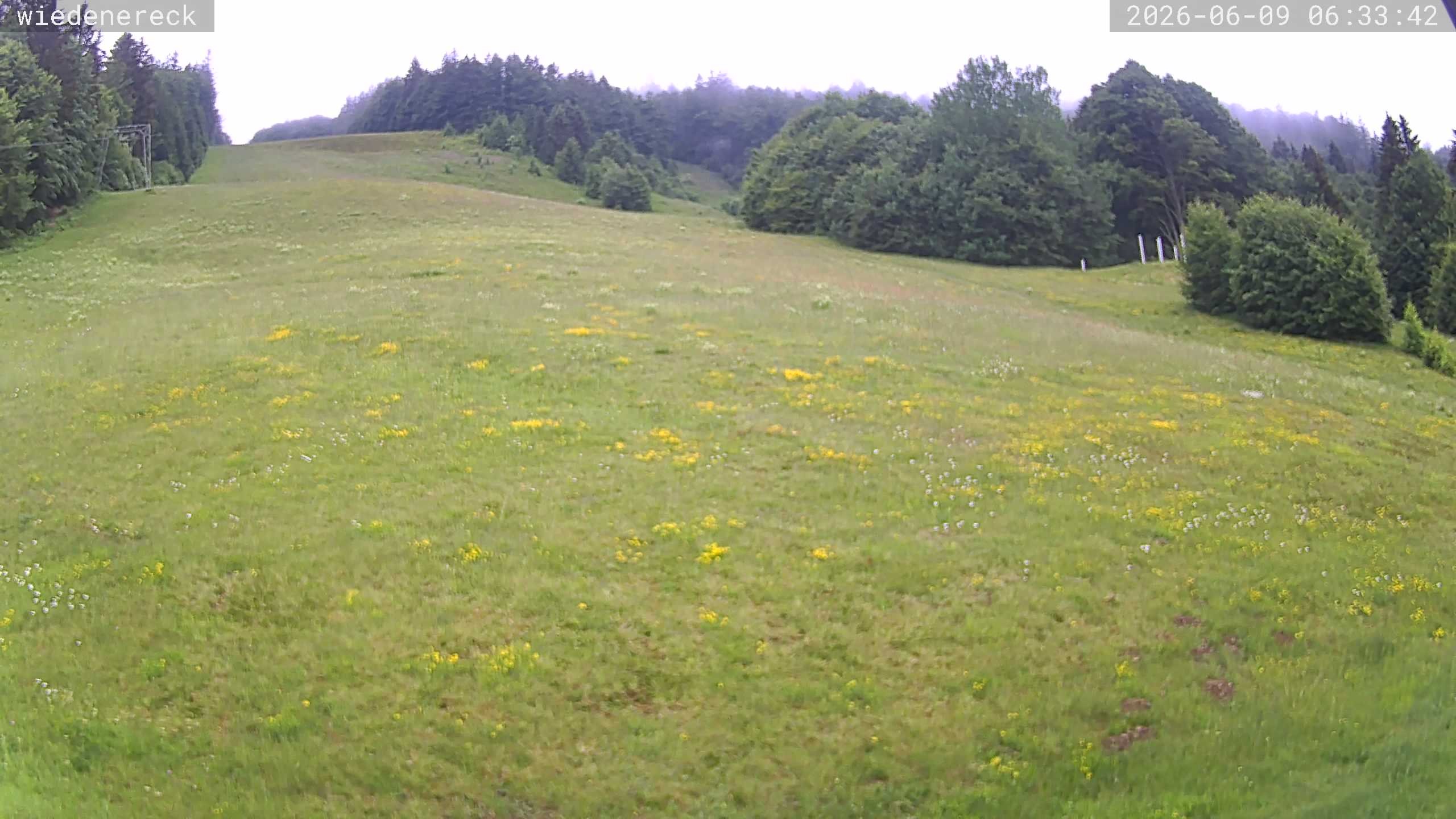 Archiv Foto Webcam Münstertal-Wieden: Rollspitz
