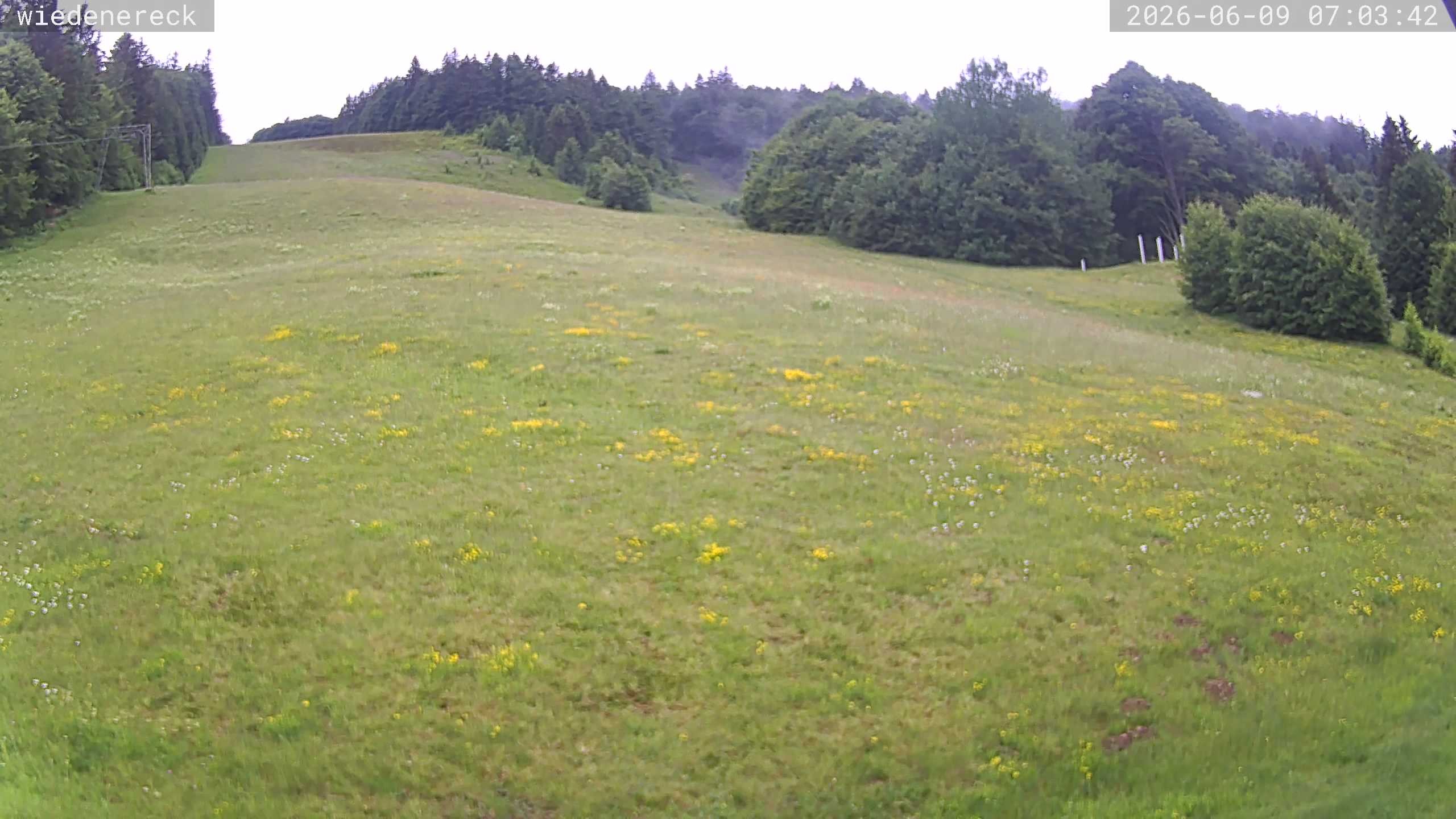 Archiv Foto Webcam Münstertal-Wieden: Rollspitz