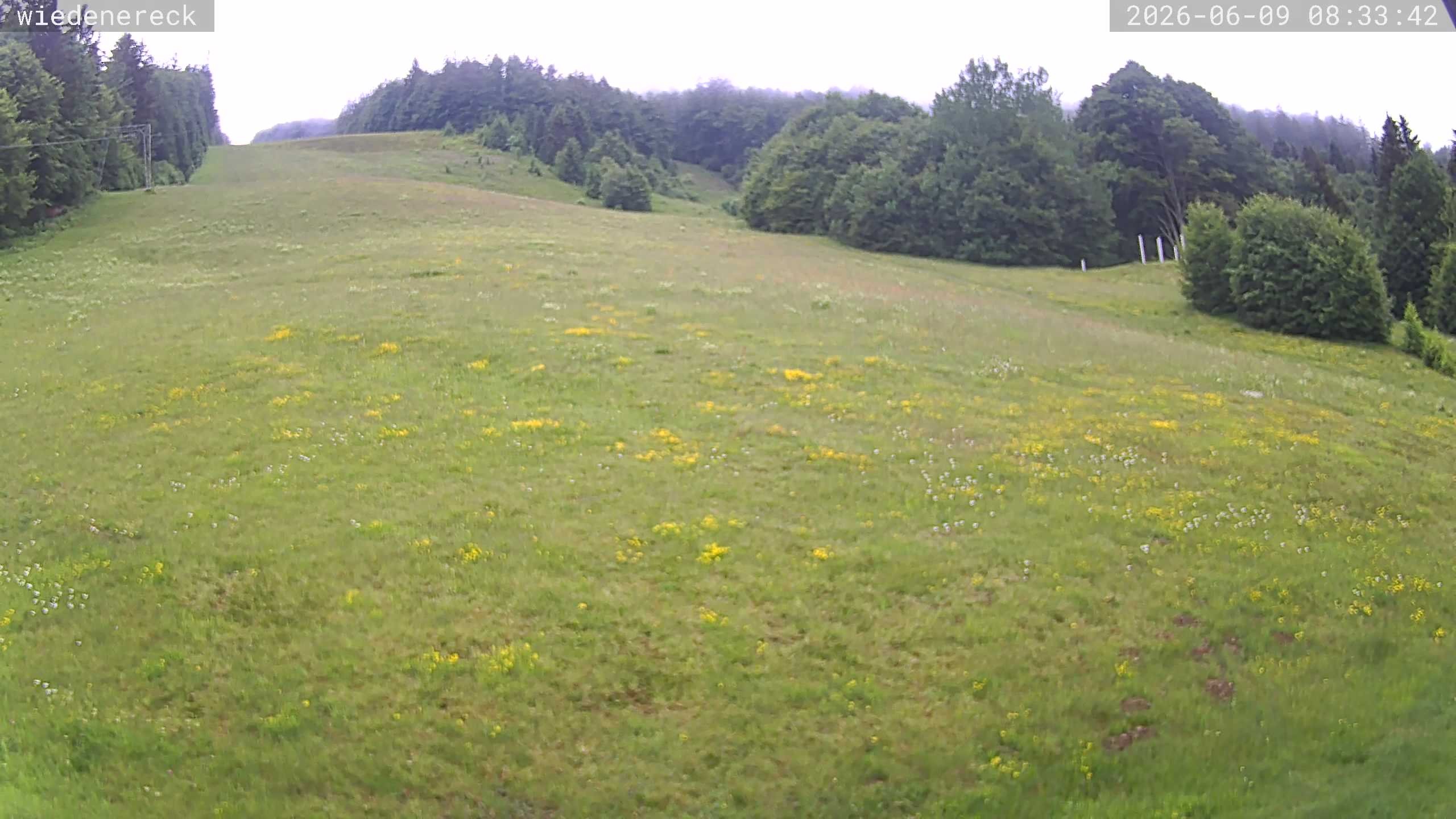 Archiv Foto Webcam Münstertal-Wieden: Rollspitz