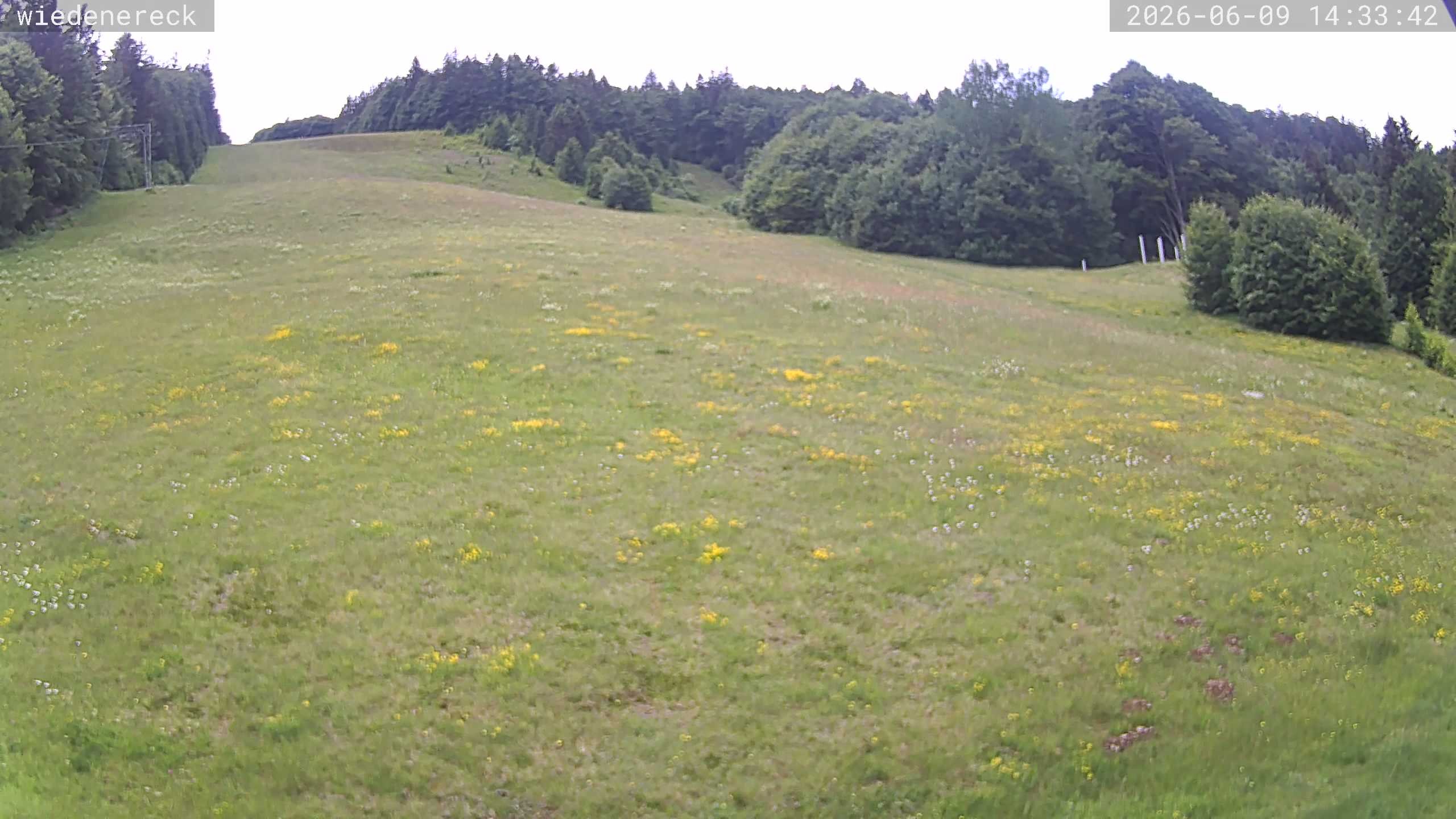 Archiv Foto Webcam Münstertal-Wieden: Rollspitz