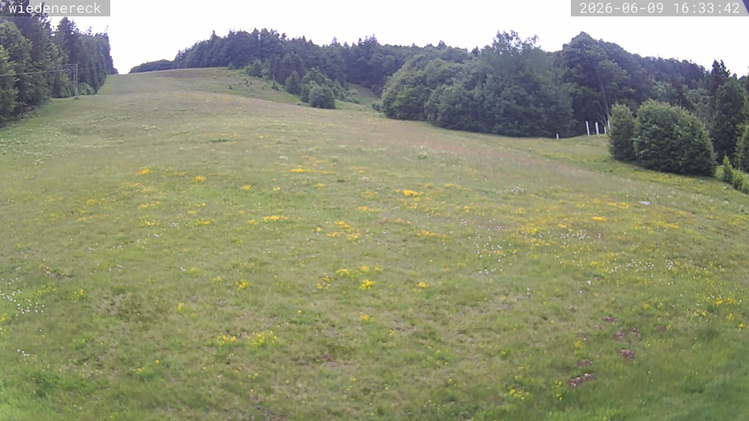 Archiv Foto Webcam Münstertal-Wieden: Rollspitz
