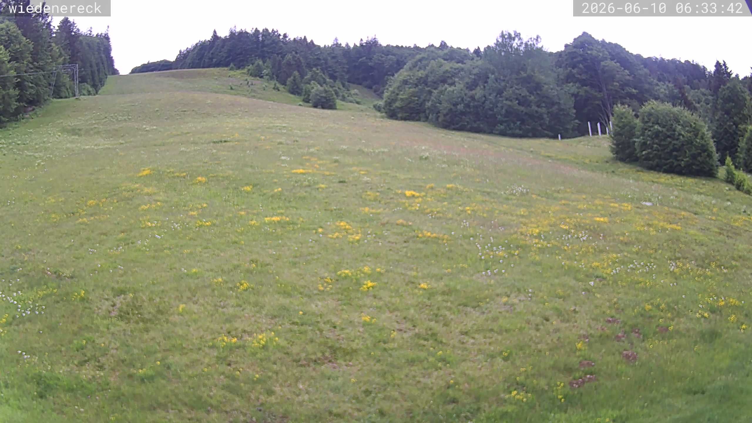 Archived image Webcam Rollspitz Münstertal-Wieden