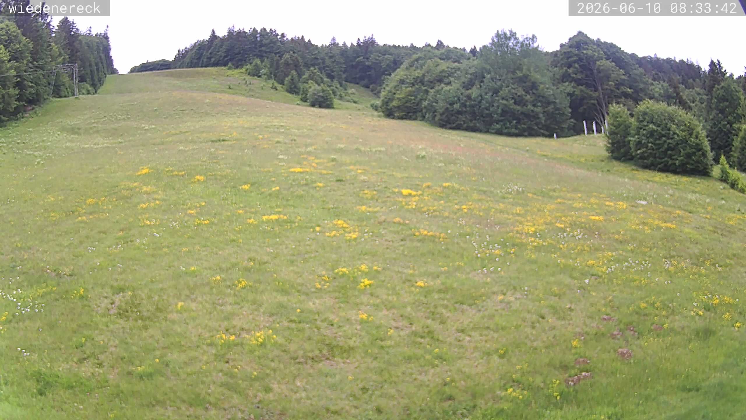 Archived image Webcam Rollspitz Münstertal-Wieden