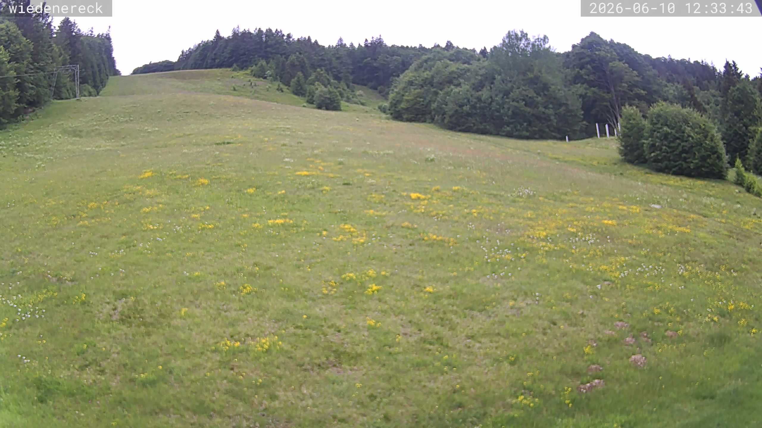 Archived image Webcam Rollspitz Münstertal-Wieden