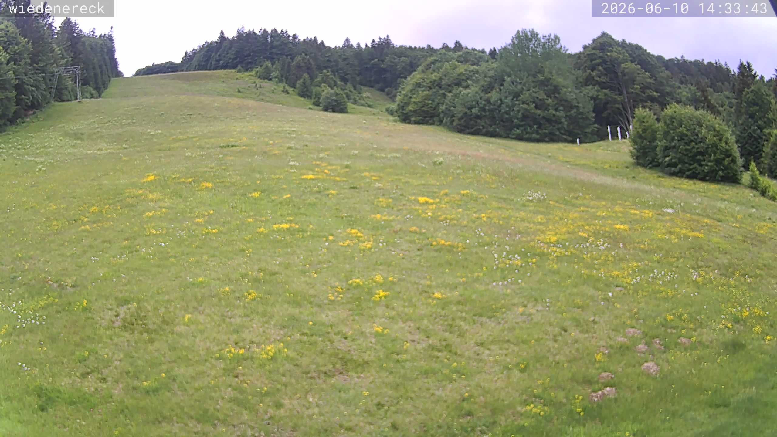 Archived image Webcam Rollspitz Münstertal-Wieden