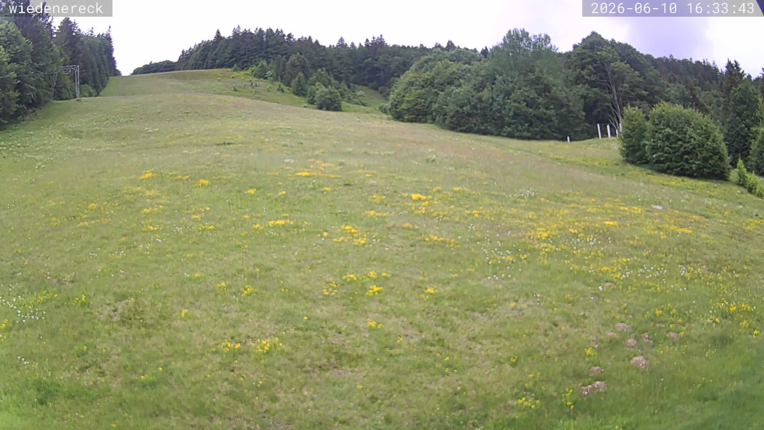 Archived image Webcam Rollspitz Münstertal-Wieden