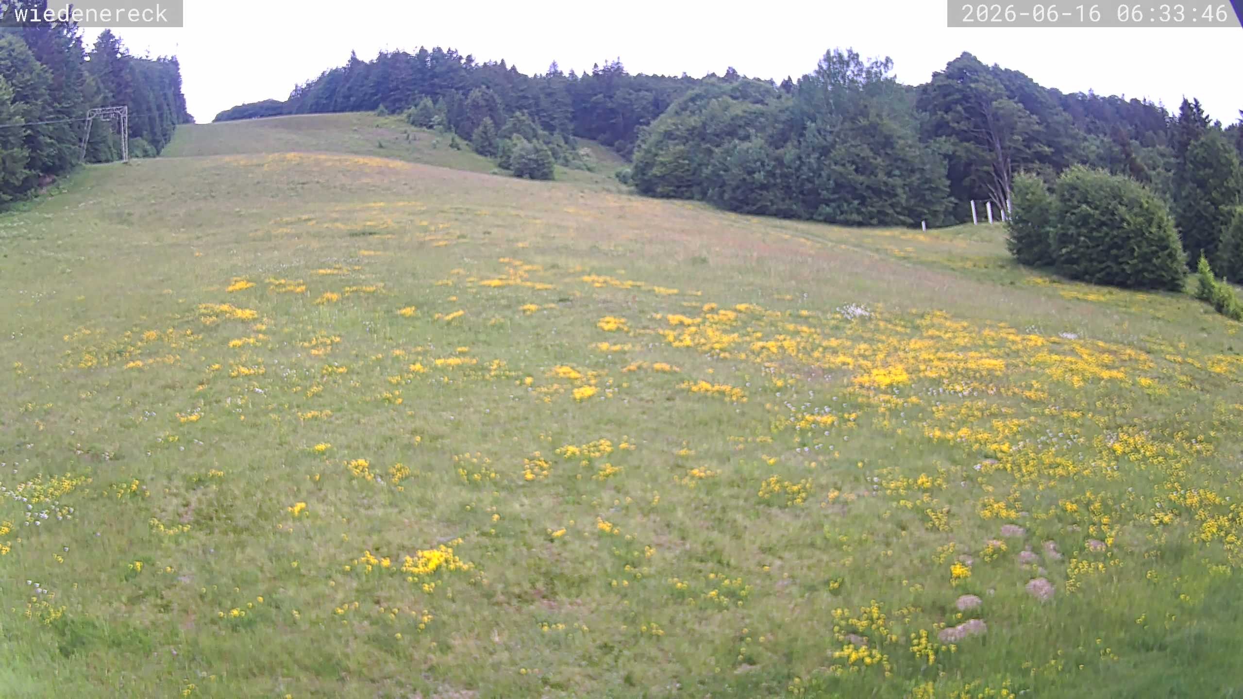 Archiv Foto Webcam Münstertal-Wieden: Rollspitz