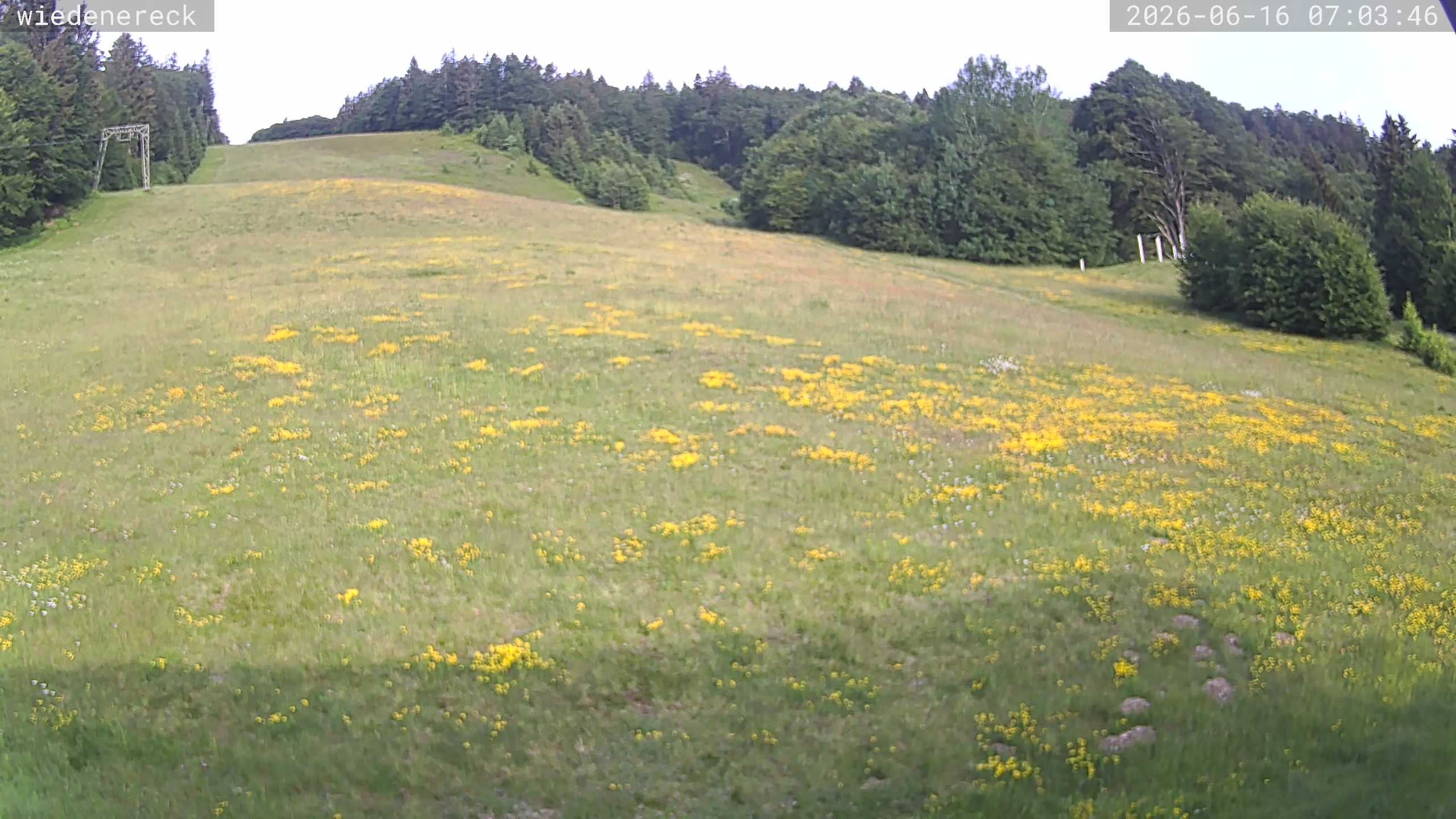 Archiv Foto Webcam Münstertal-Wieden: Rollspitz