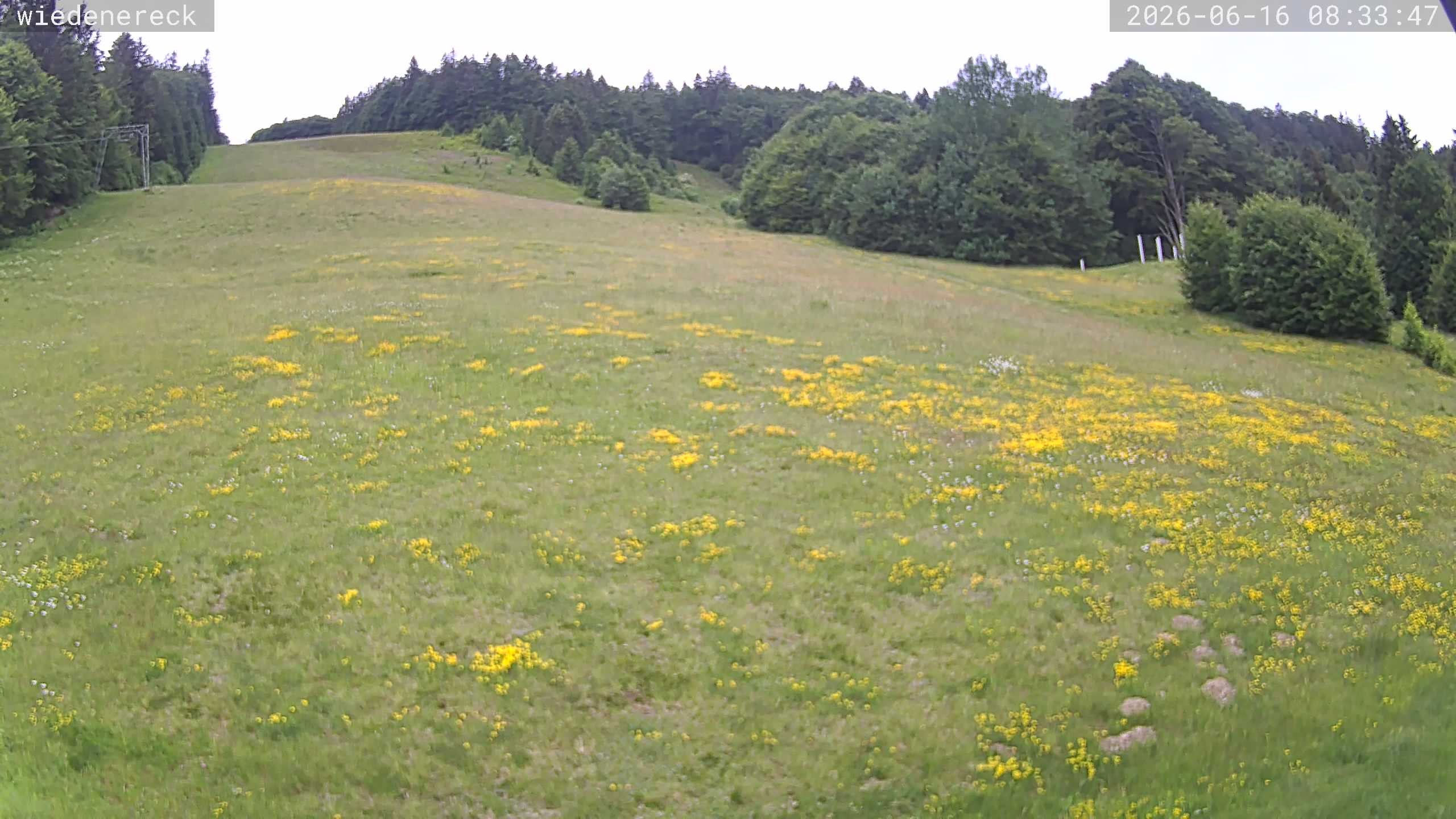 Archiv Foto Webcam Münstertal-Wieden: Rollspitz