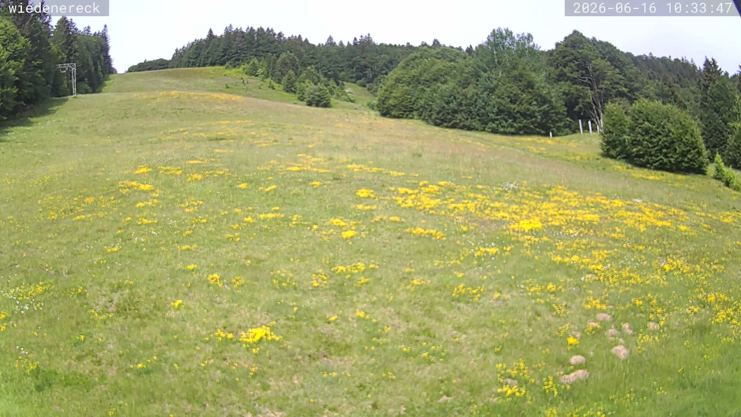 Archiv Foto Webcam Münstertal-Wieden: Rollspitz