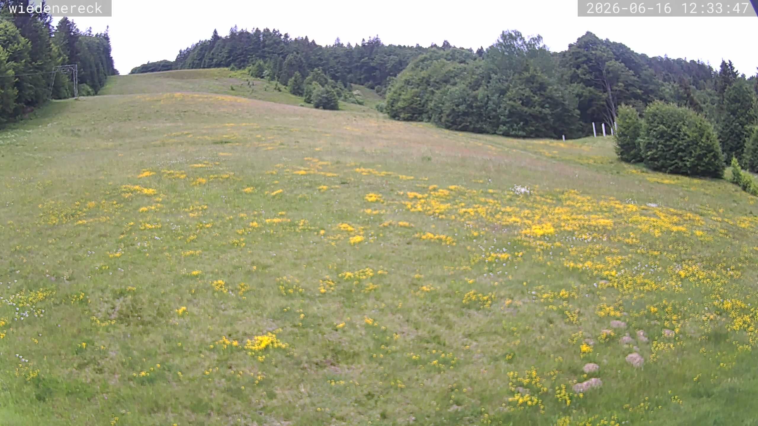 Archiv Foto Webcam Münstertal-Wieden: Rollspitz