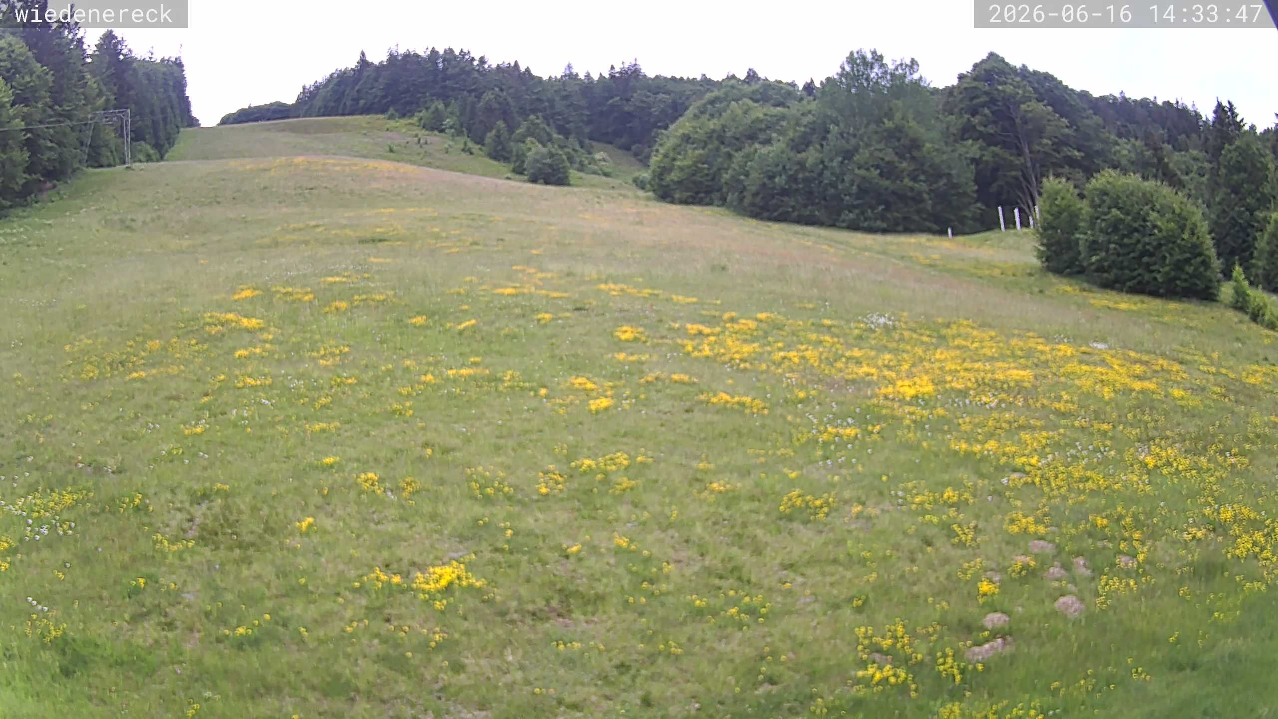 Archiv Foto Webcam Münstertal-Wieden: Rollspitz