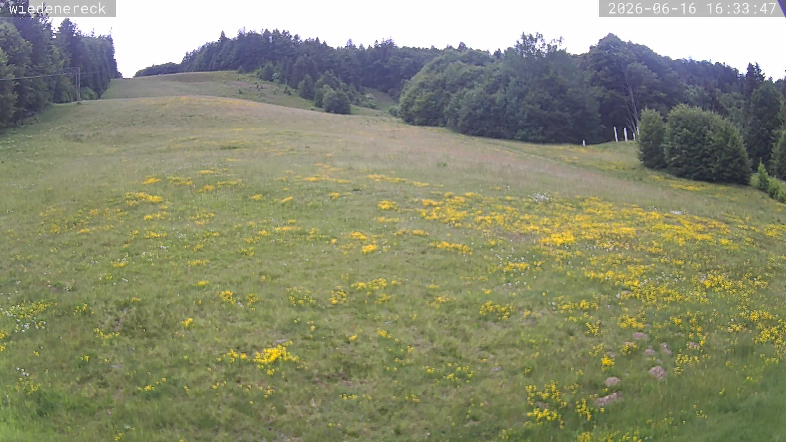 Archiv Foto Webcam Münstertal-Wieden: Rollspitz