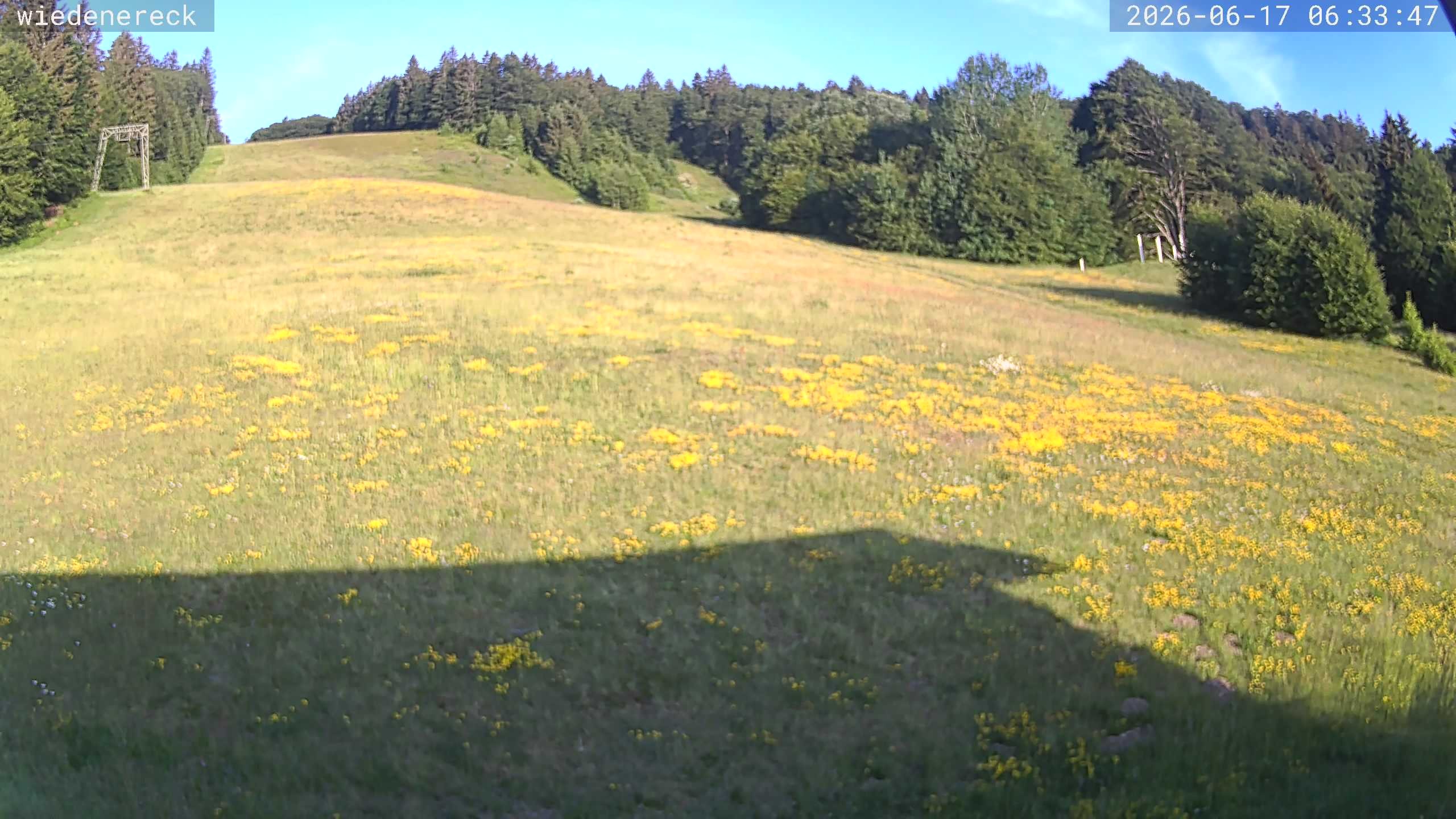 Archiv Foto Webcam Münstertal-Wieden: Rollspitz