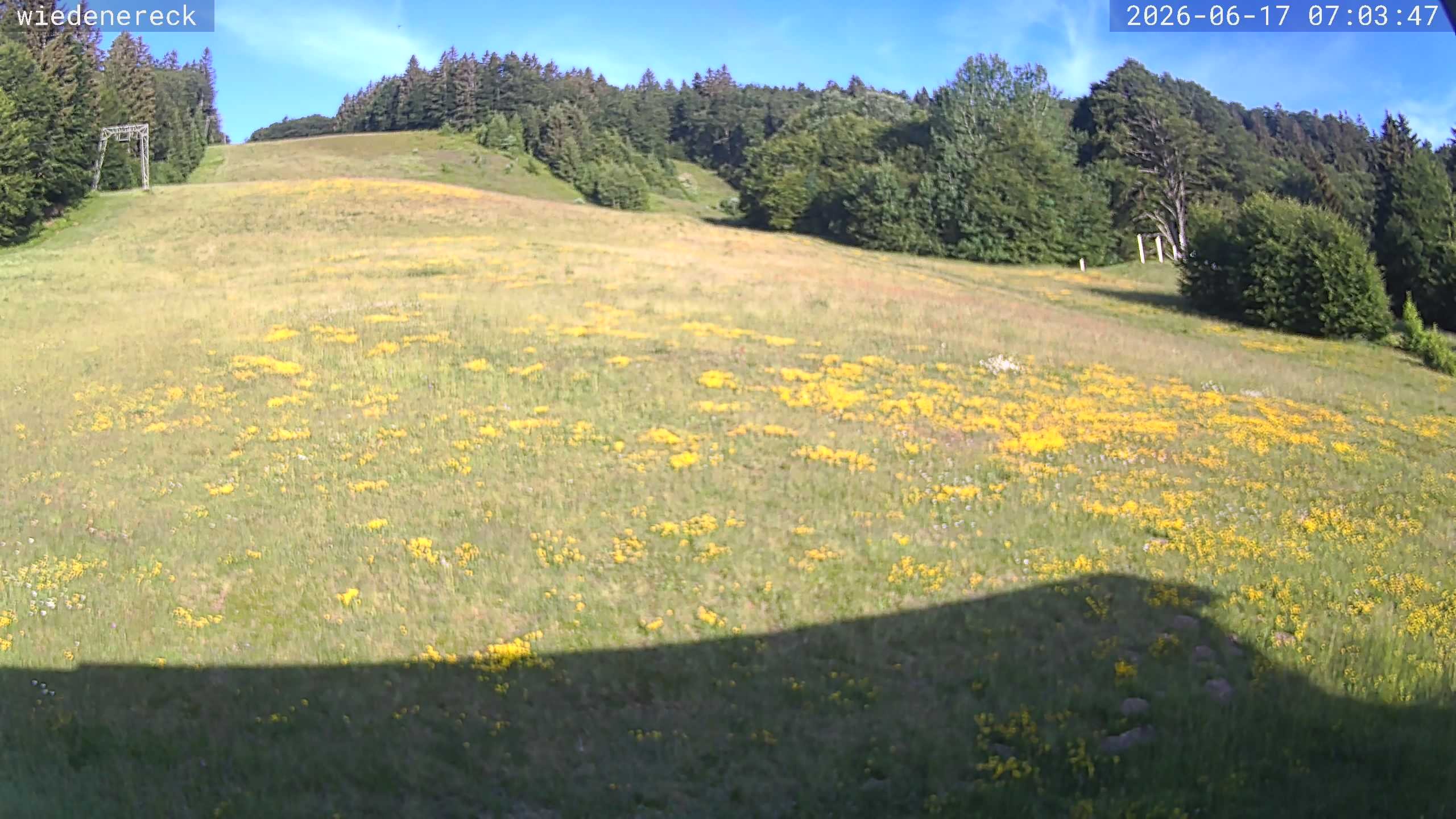 Archiv Foto Webcam Münstertal-Wieden: Rollspitz