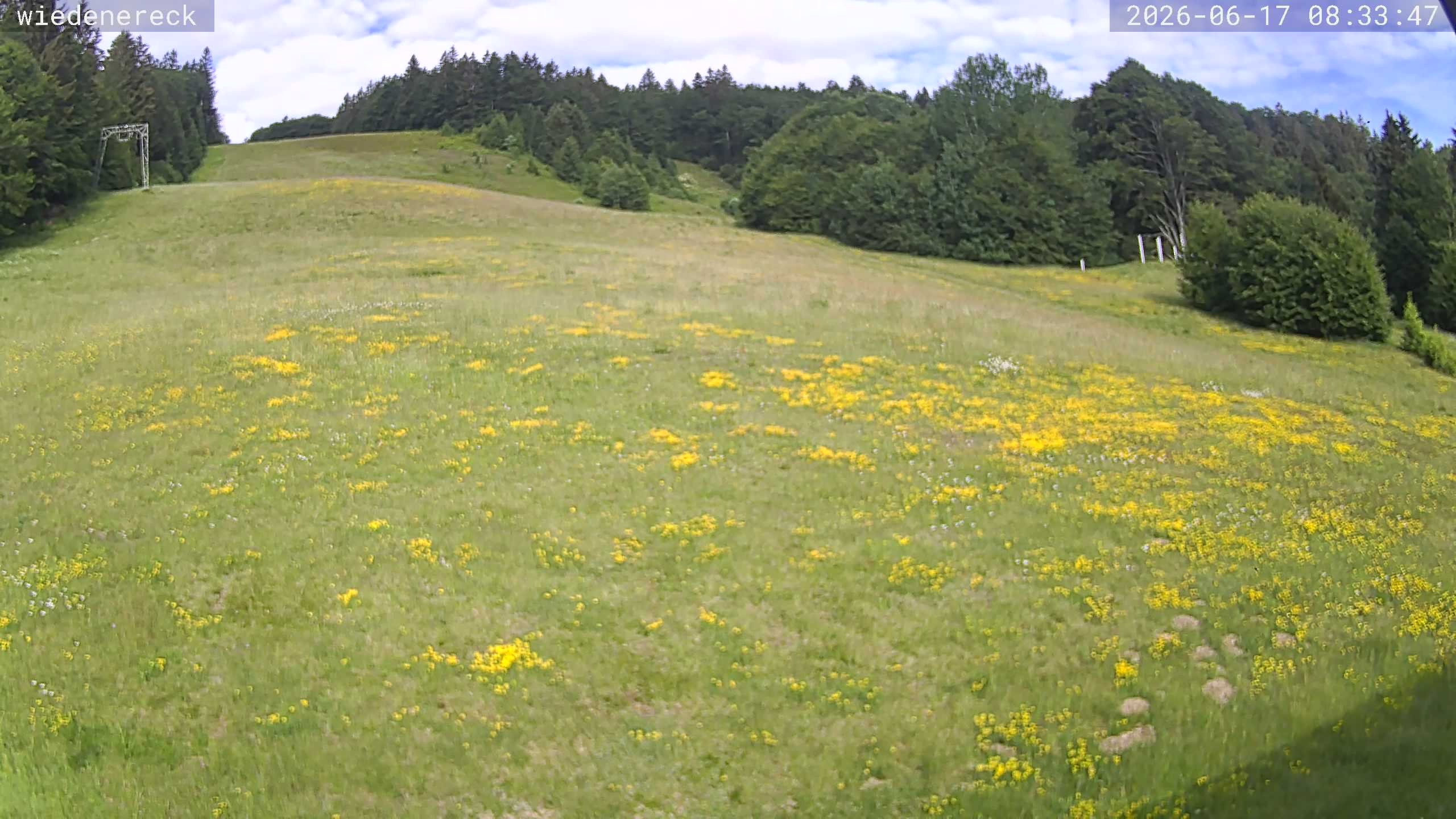 Archiv Foto Webcam Münstertal-Wieden: Rollspitz