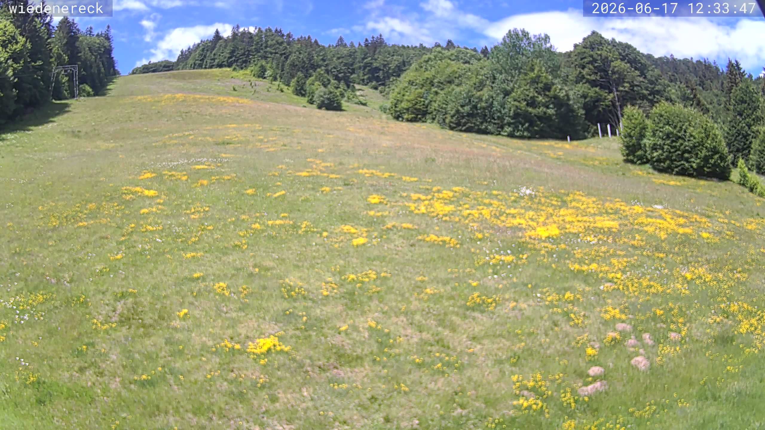 Archiv Foto Webcam Münstertal-Wieden: Rollspitz