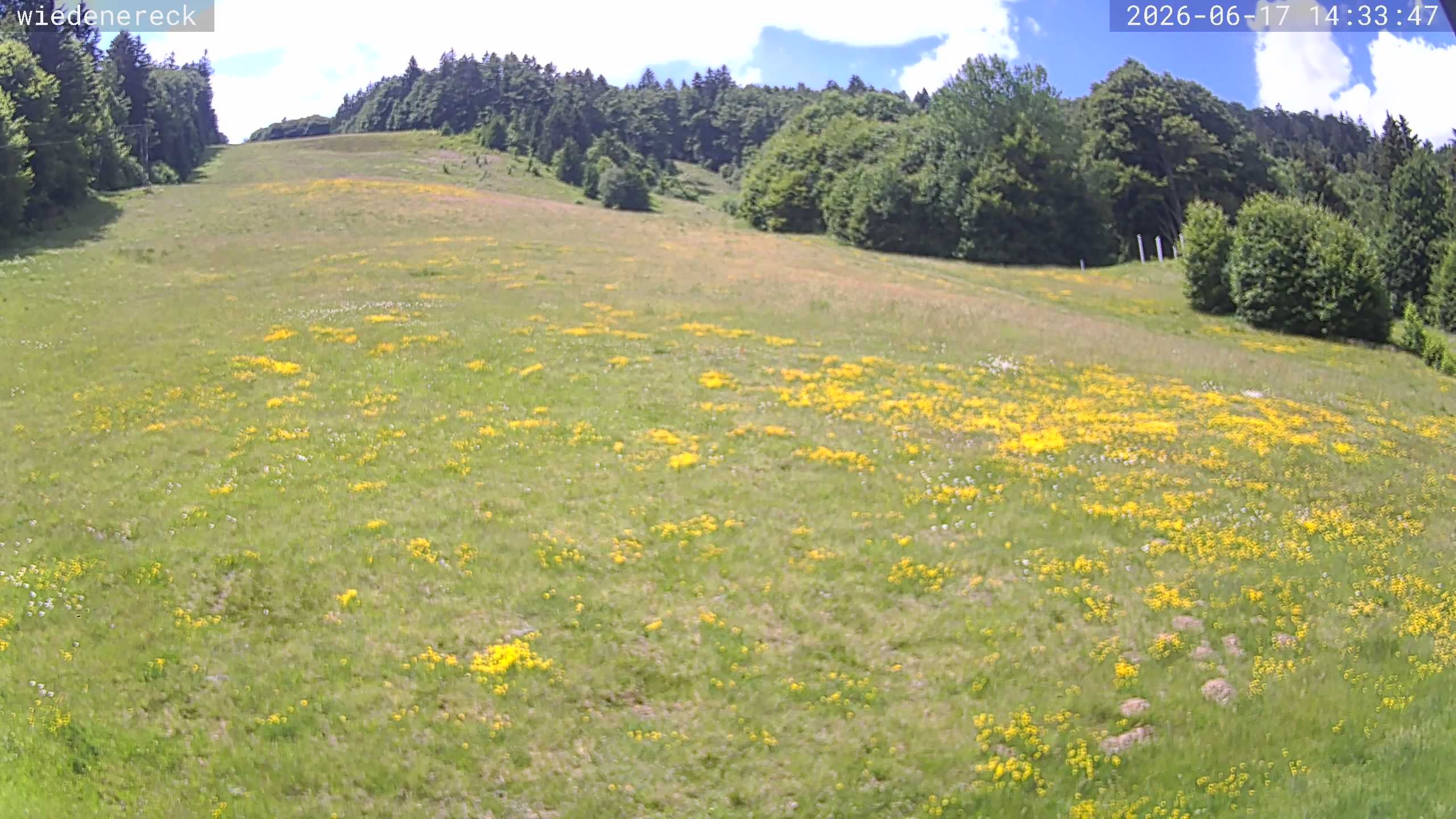 Archiv Foto Webcam Münstertal-Wieden: Rollspitz