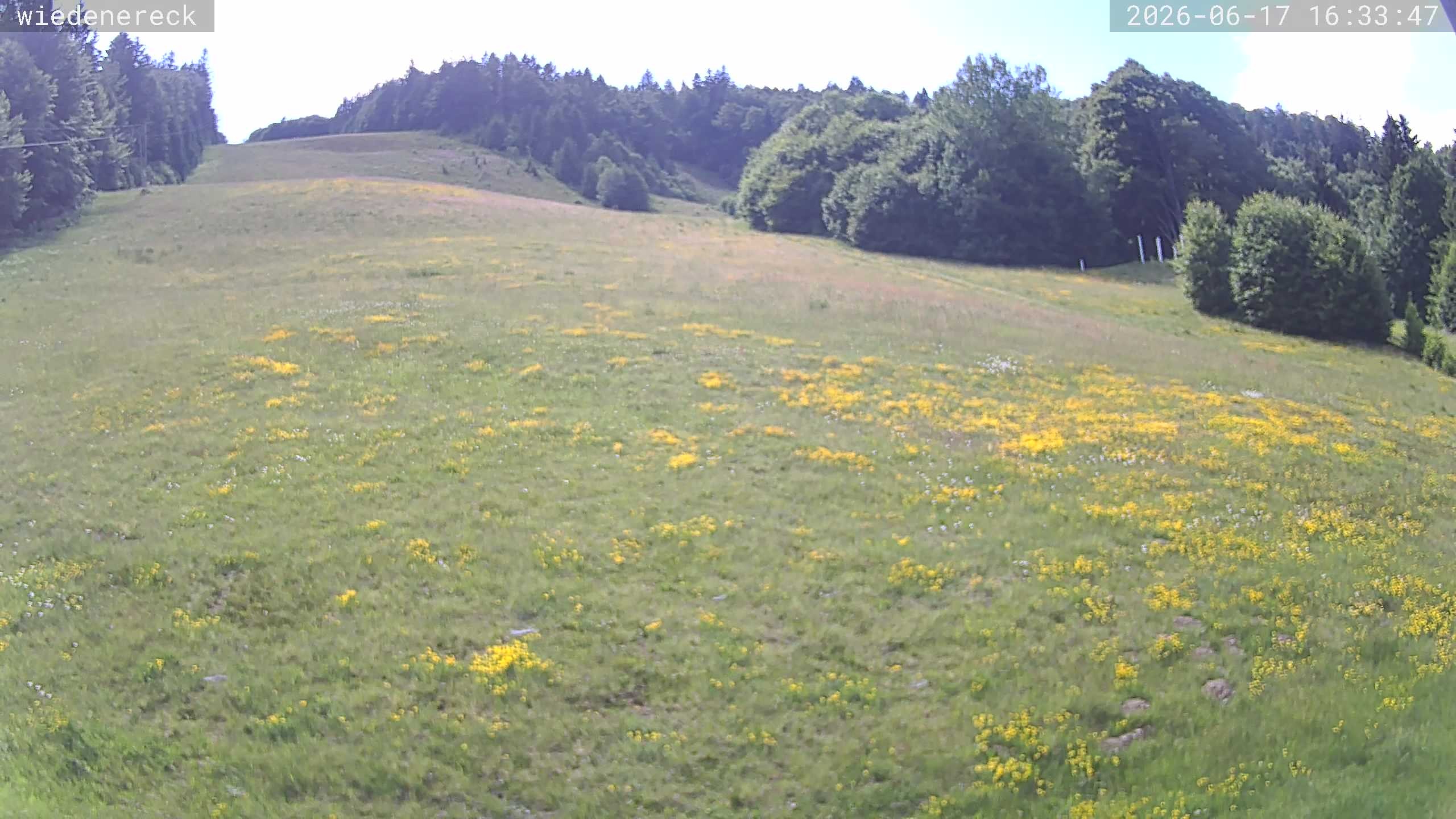 Archiv Foto Webcam Münstertal-Wieden: Rollspitz