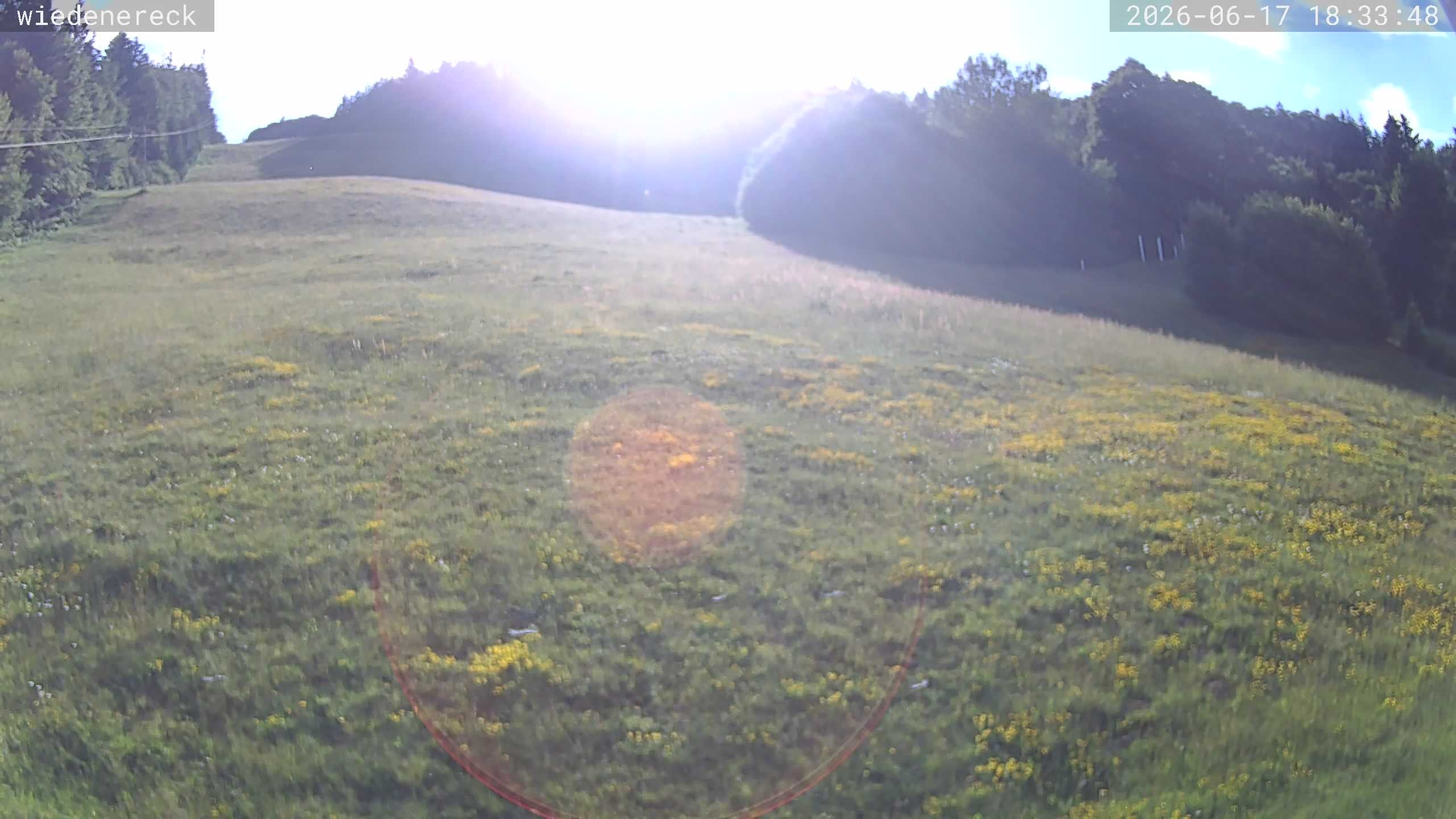 Archiv Foto Webcam Münstertal-Wieden: Rollspitz