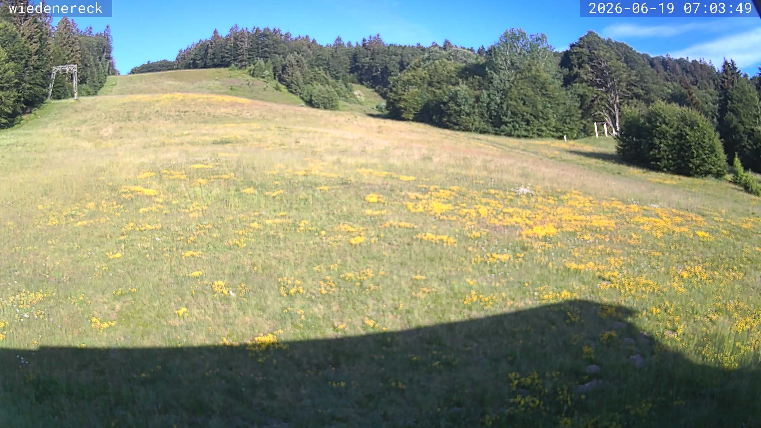 Archiv Foto Webcam Münstertal-Wieden: Rollspitz