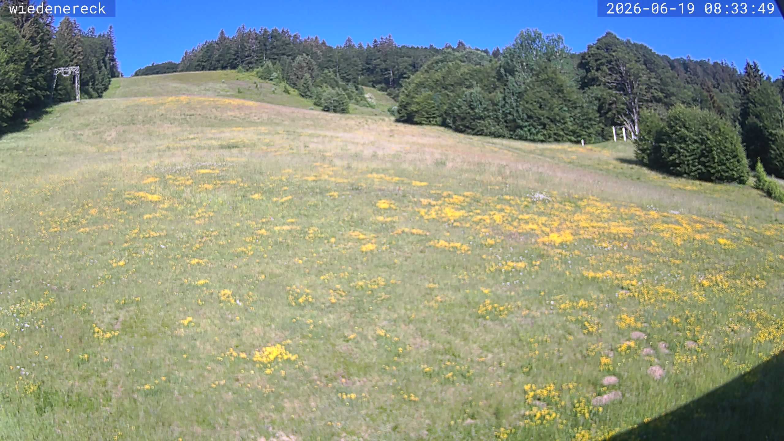 Archiv Foto Webcam Münstertal-Wieden: Rollspitz