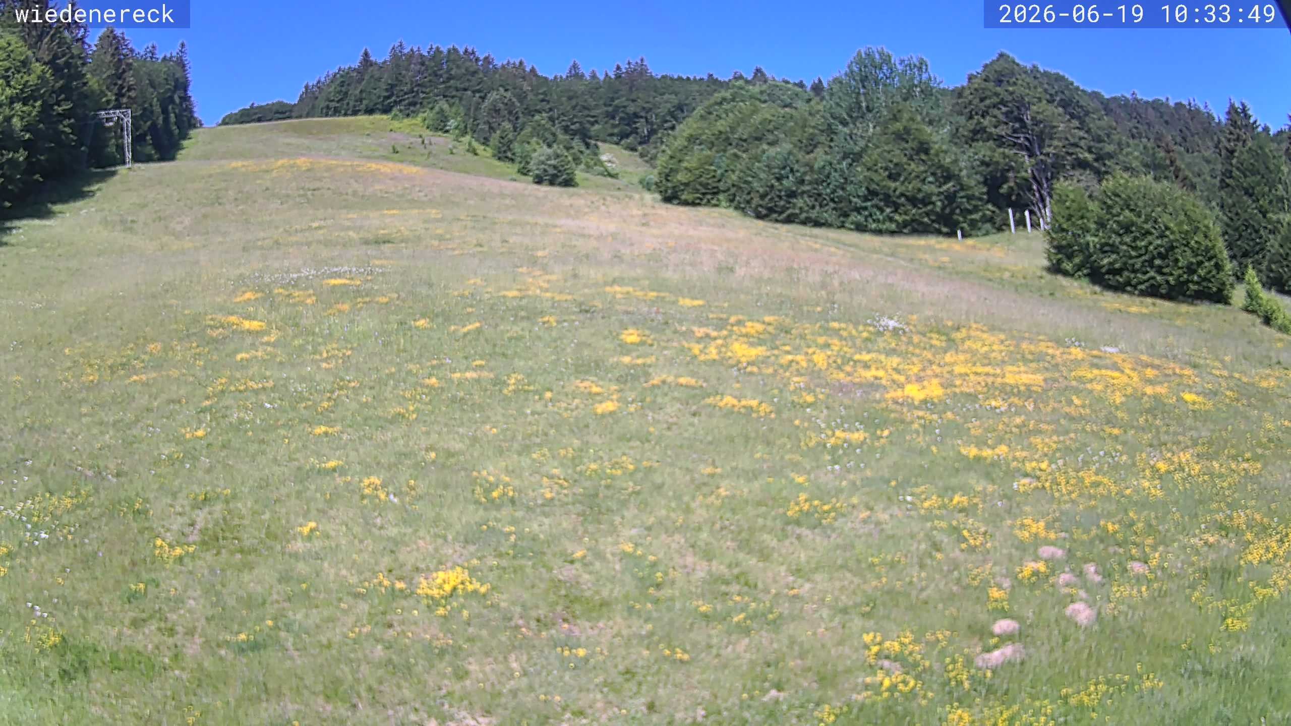 Archiv Foto Webcam Münstertal-Wieden: Rollspitz