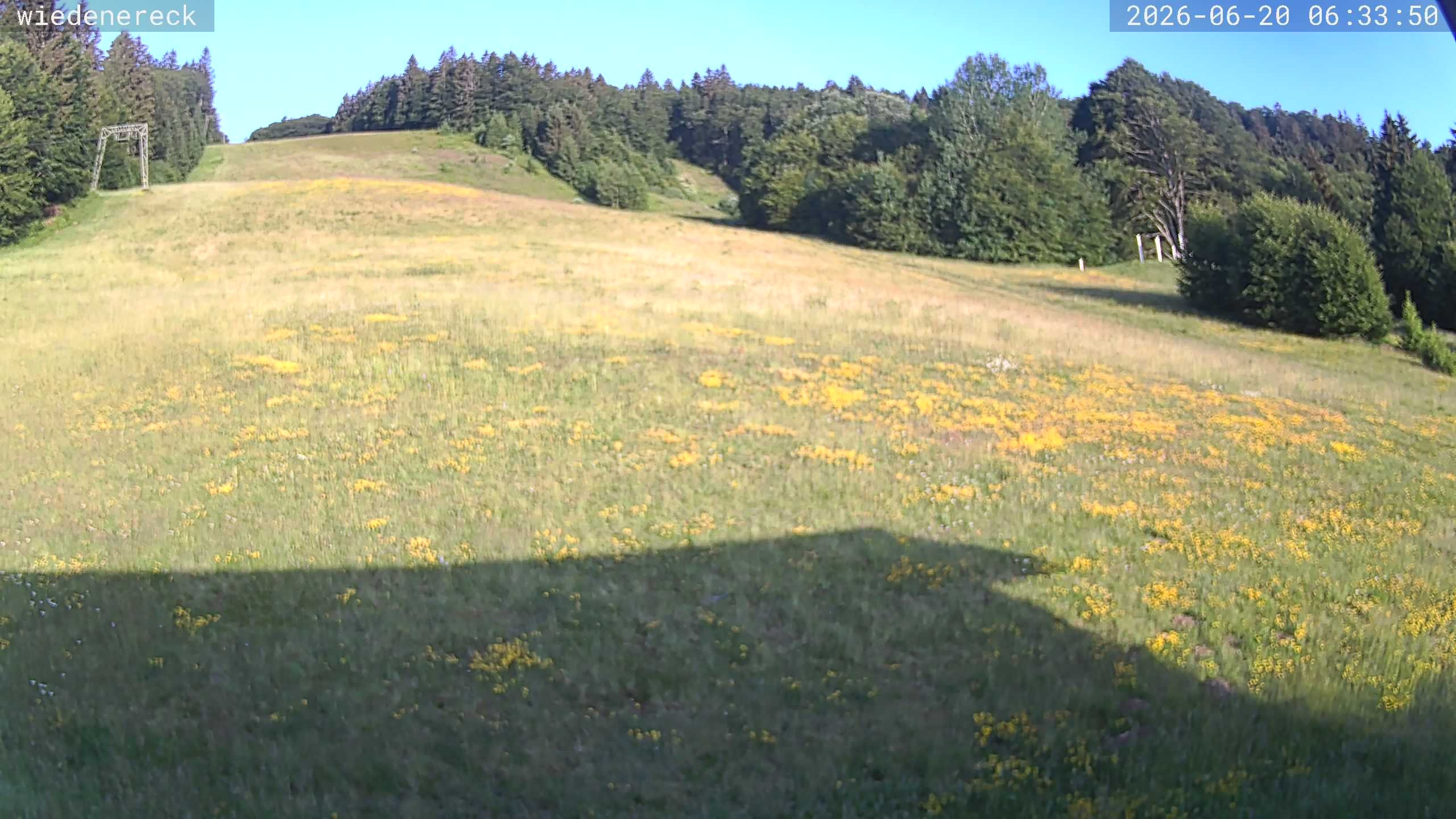 Archiv Foto Webcam Münstertal-Wieden: Rollspitz