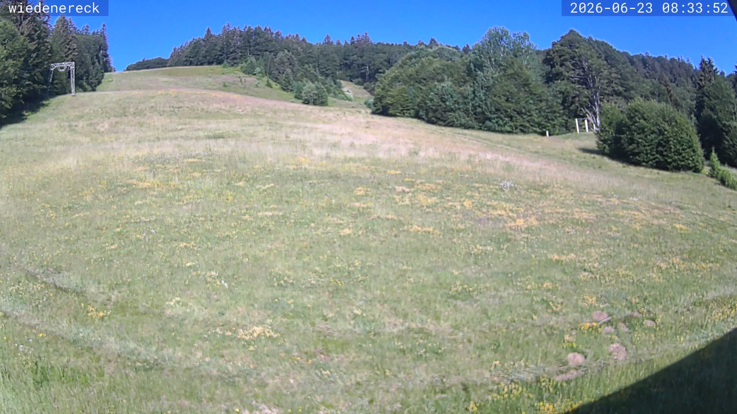 Archiv Foto Webcam Münstertal-Wieden: Rollspitz