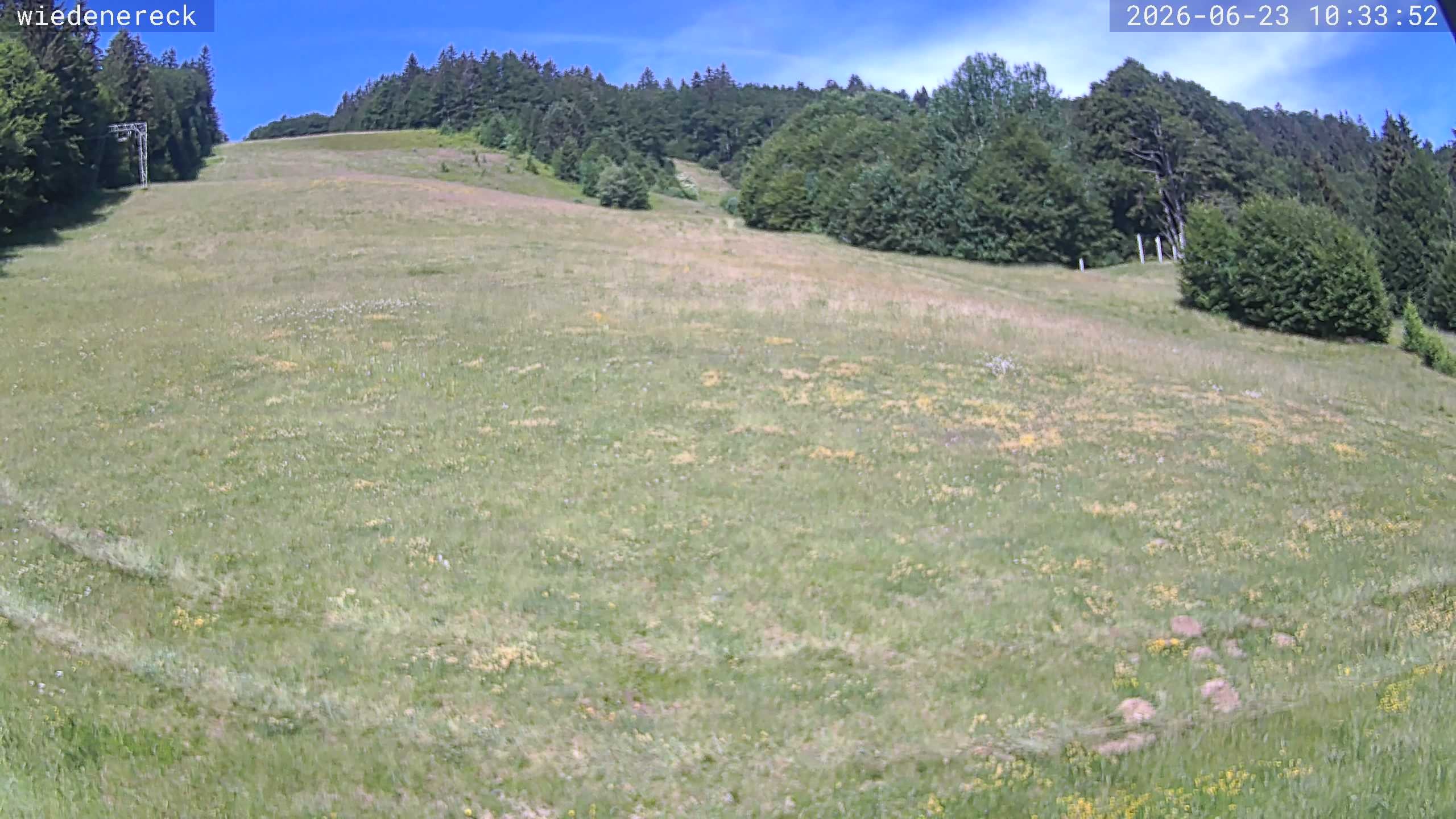 Archiv Foto Webcam Münstertal-Wieden: Rollspitz