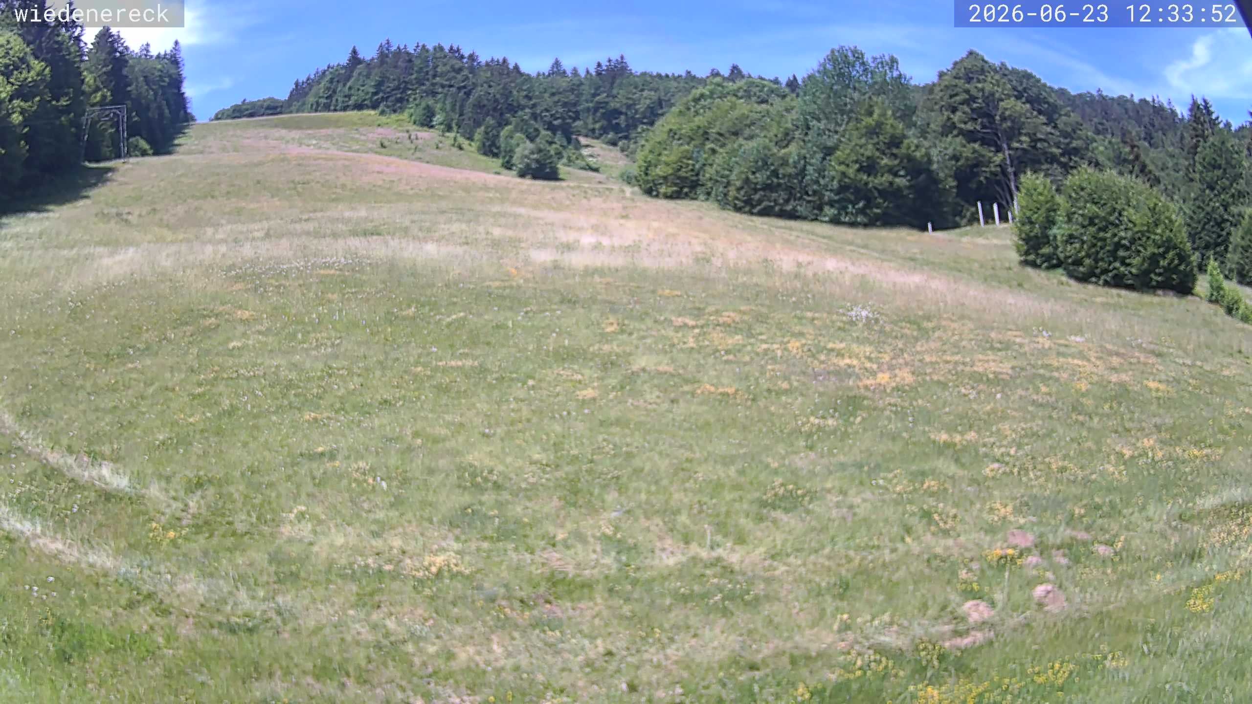 Archiv Foto Webcam Münstertal-Wieden: Rollspitz