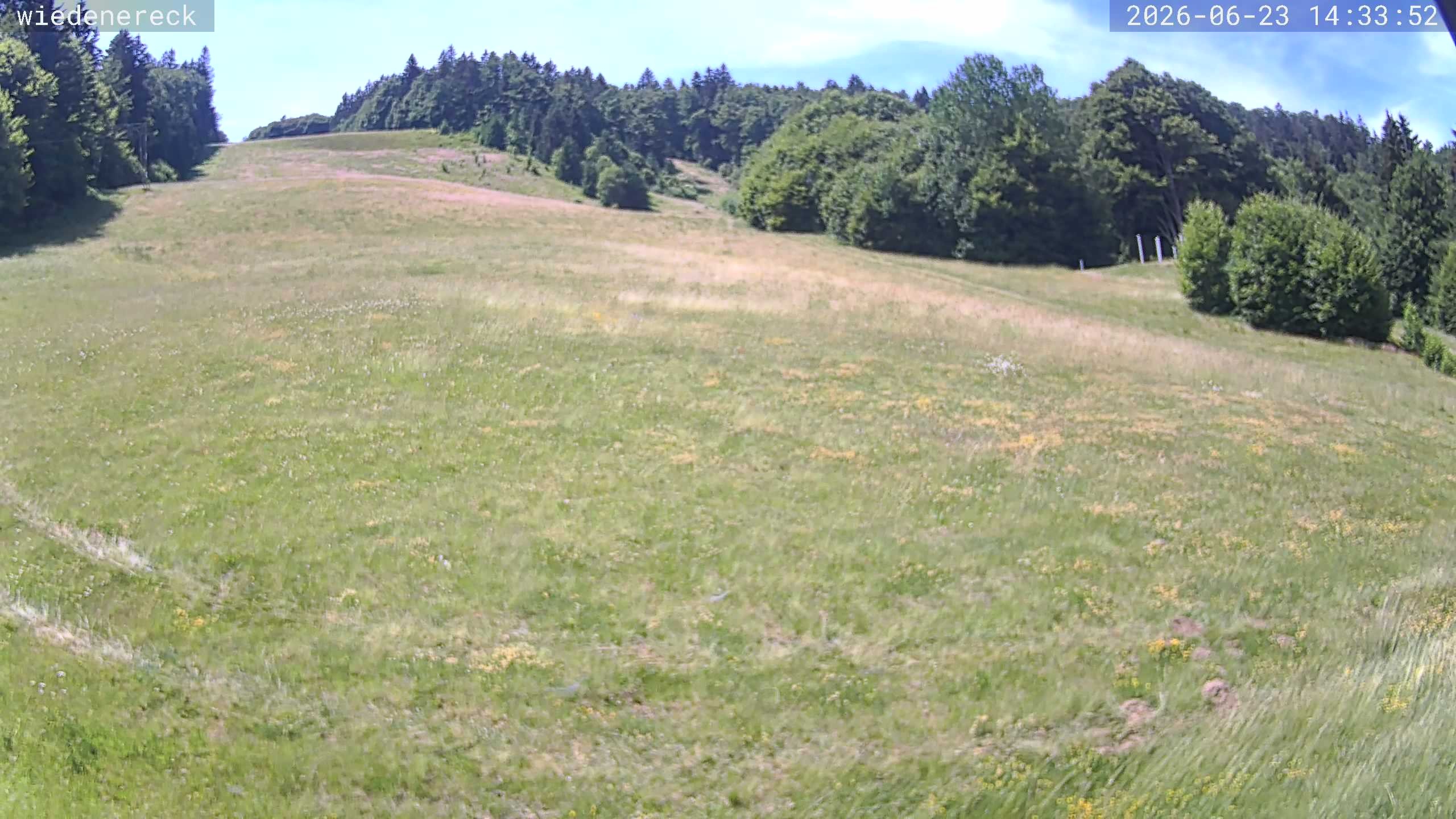 Archiv Foto Webcam Münstertal-Wieden: Rollspitz