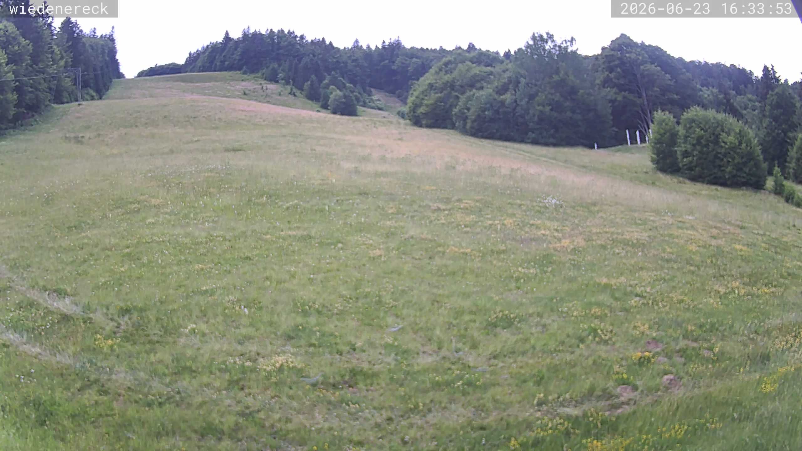 Archiv Foto Webcam Münstertal-Wieden: Rollspitz
