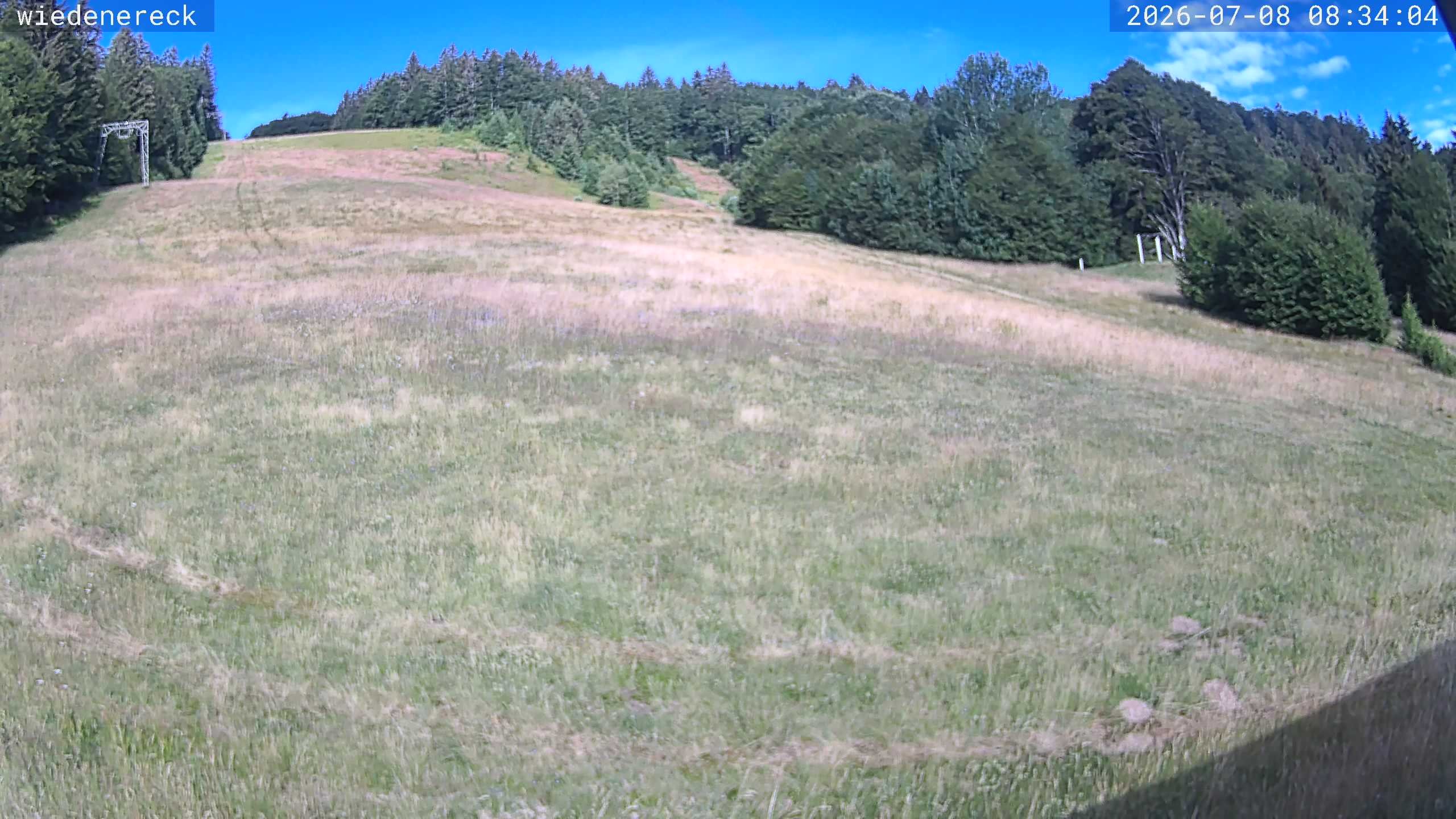 Archived image Webcam Rollspitz Münstertal-Wieden