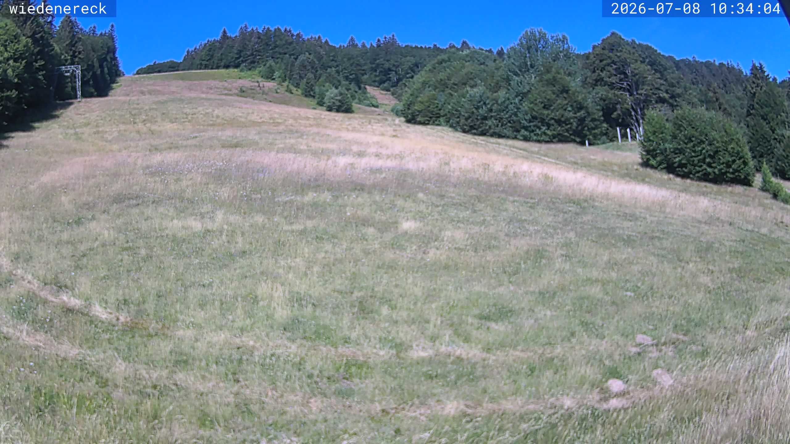 Archived image Webcam Rollspitz Münstertal-Wieden