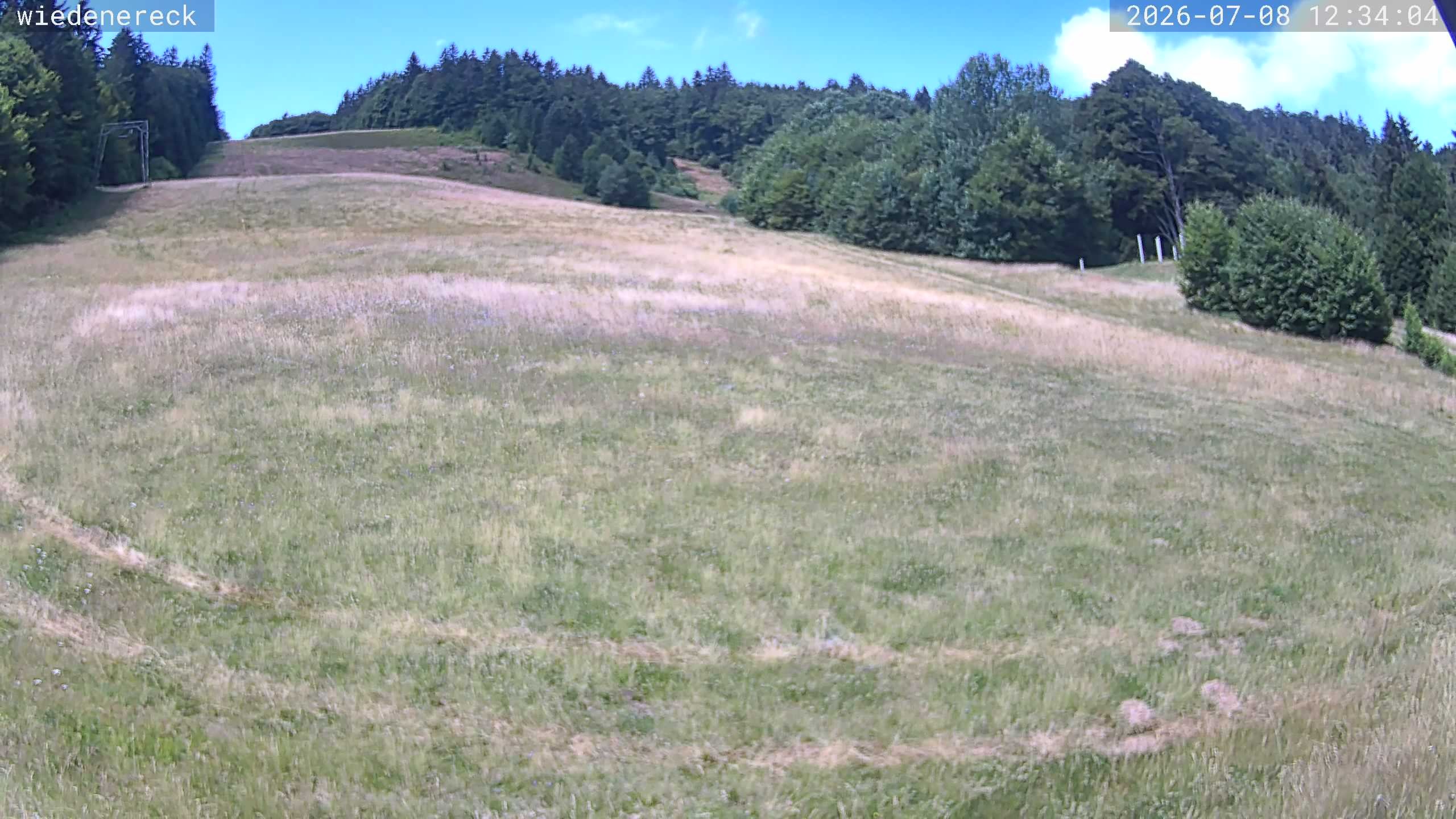 Archived image Webcam Rollspitz Münstertal-Wieden