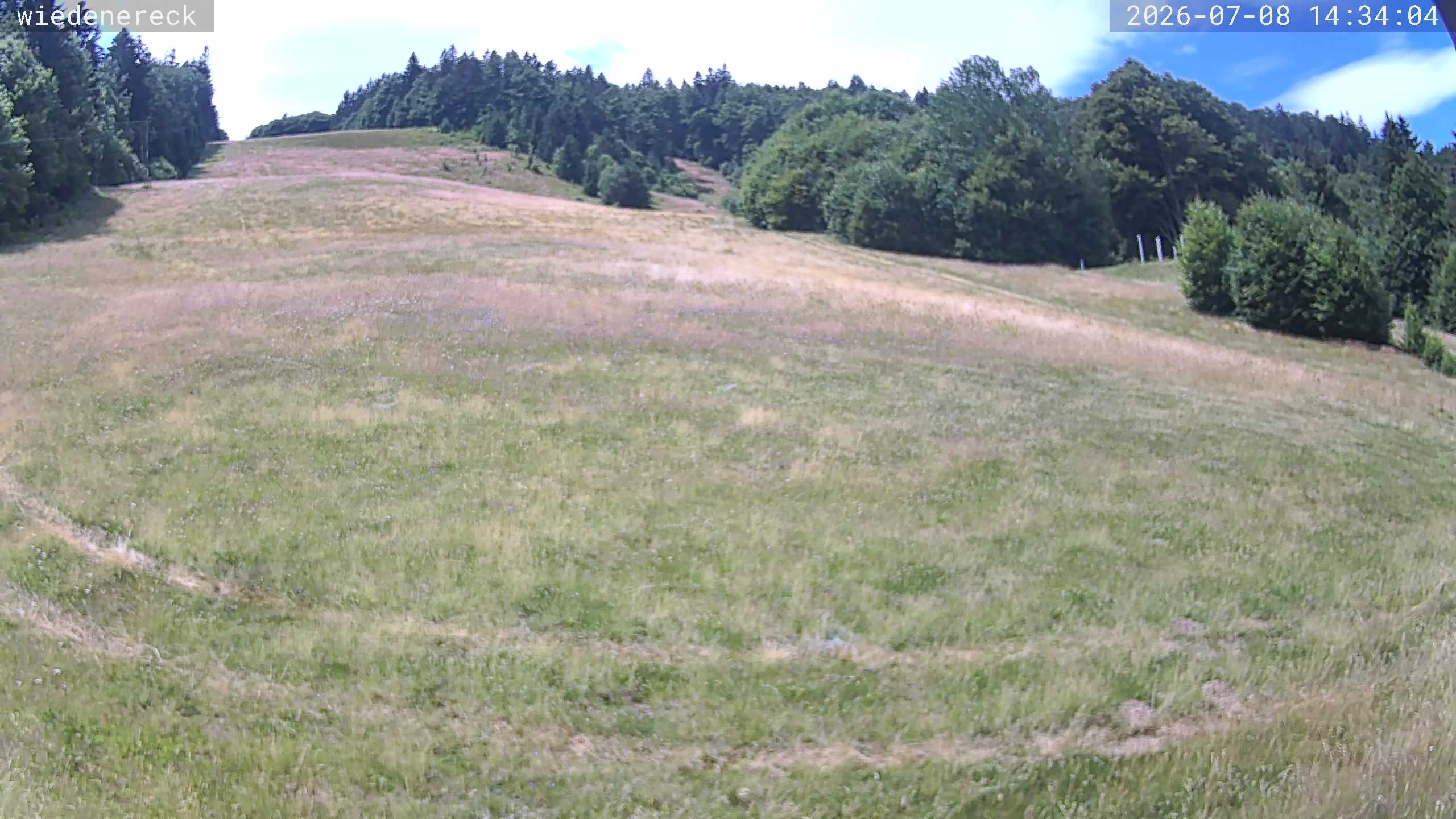 Archived image Webcam Rollspitz Münstertal-Wieden