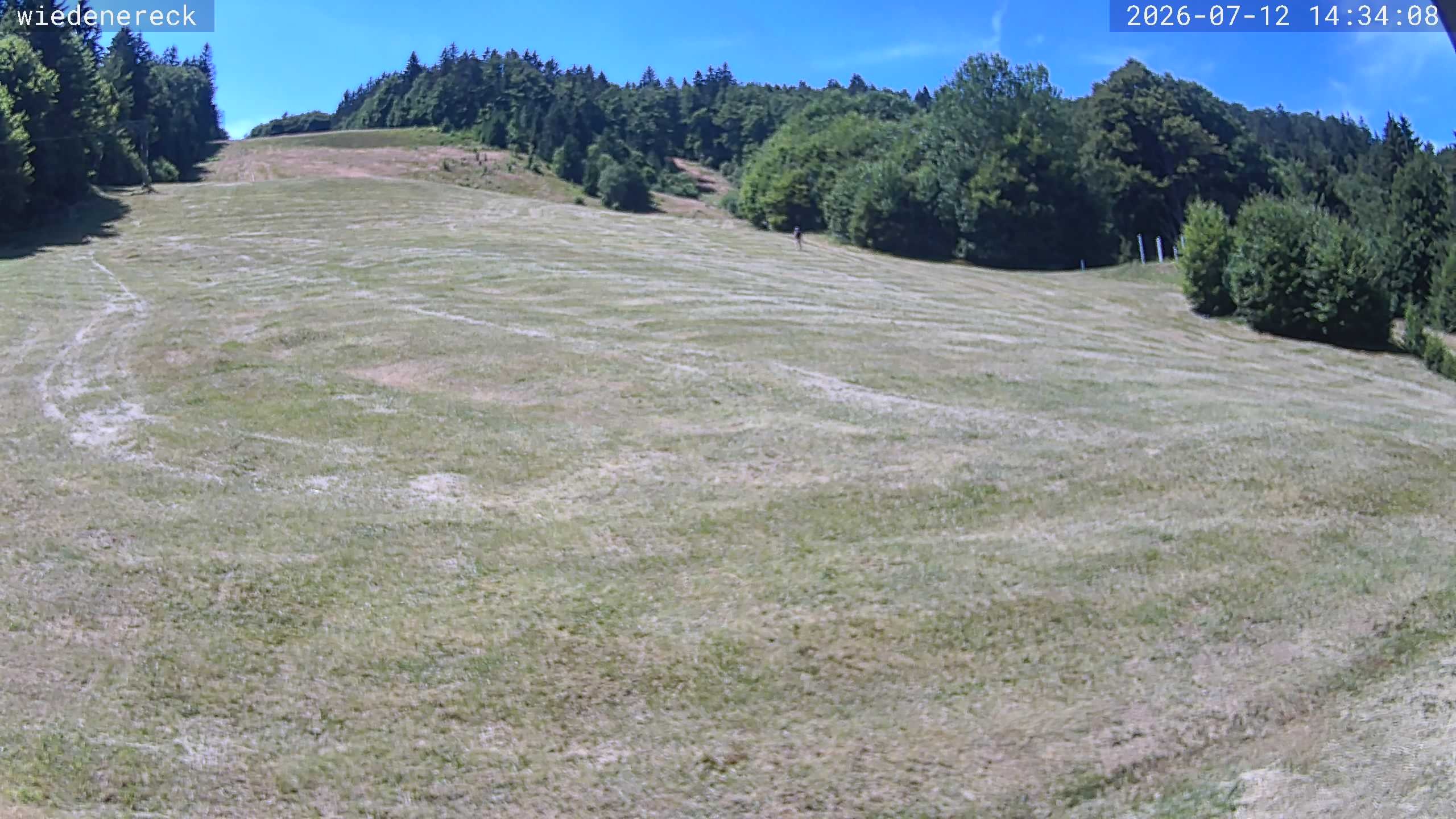 Archived image Webcam Rollspitz Münstertal-Wieden