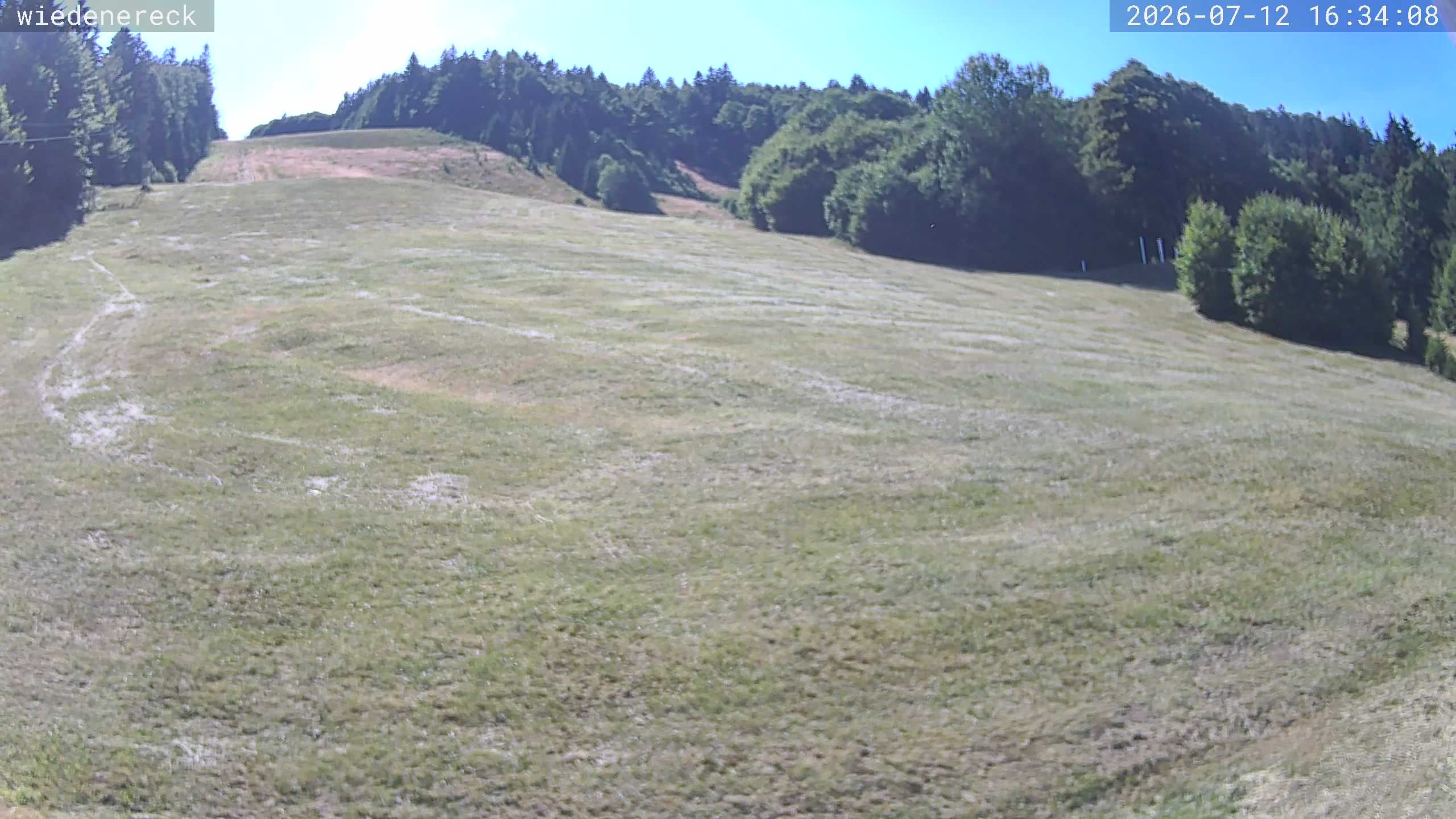 Archiv Foto Webcam Münstertal-Wieden: Rollspitz