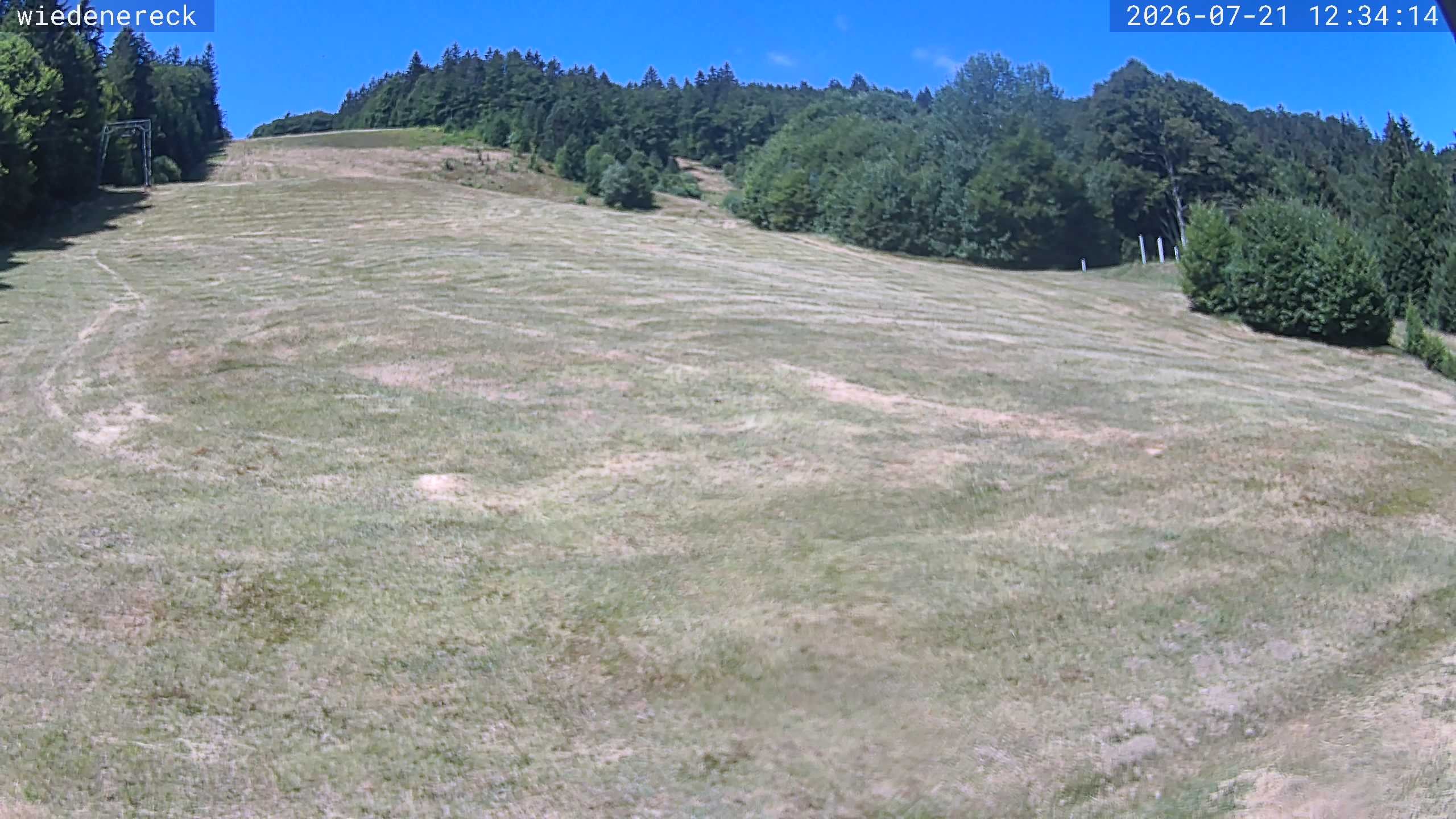 Archiv Foto Webcam Münstertal-Wieden: Rollspitz