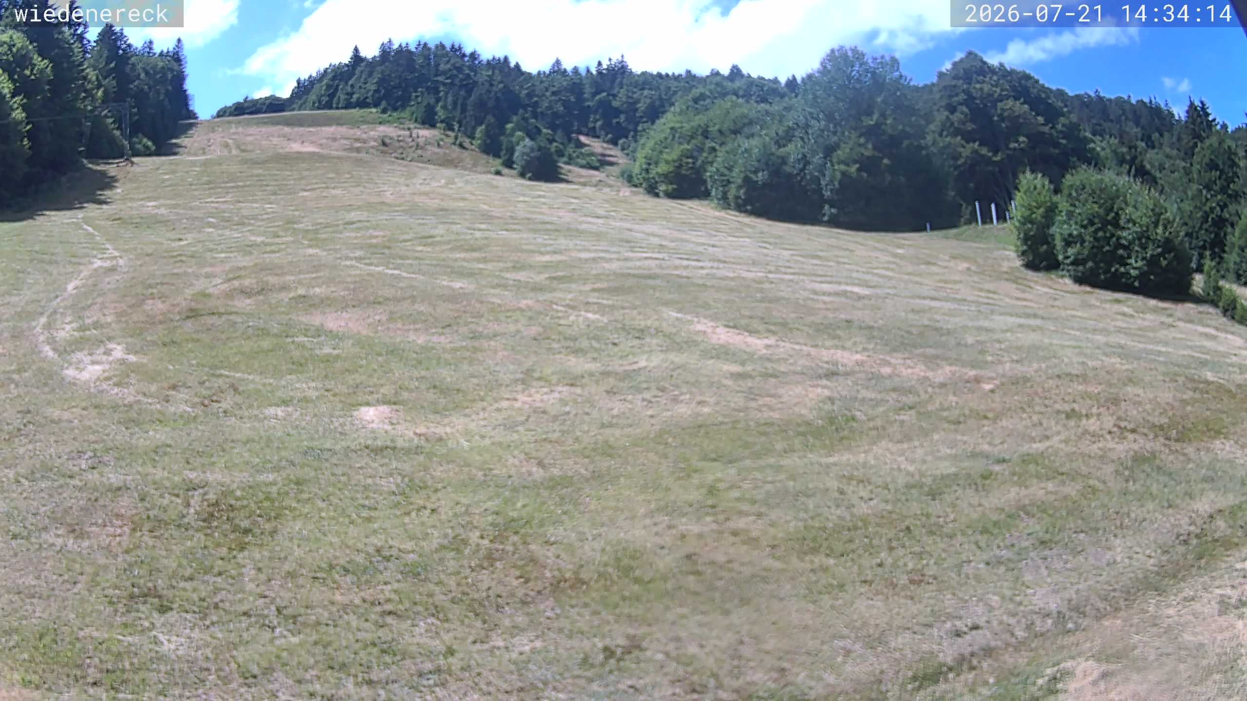 Archiv Foto Webcam Münstertal-Wieden: Rollspitz